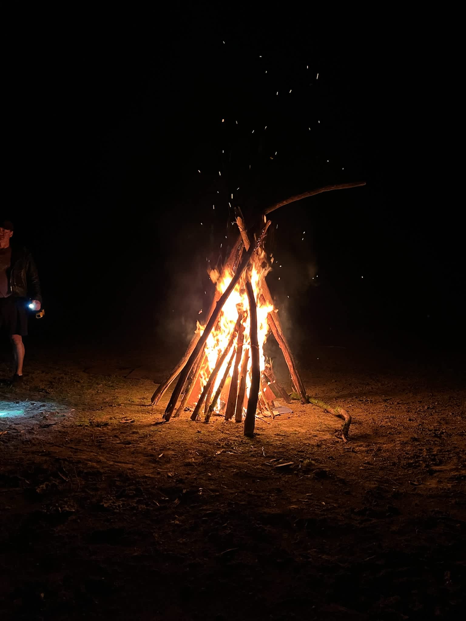 Cedar Hollow - Photo 2