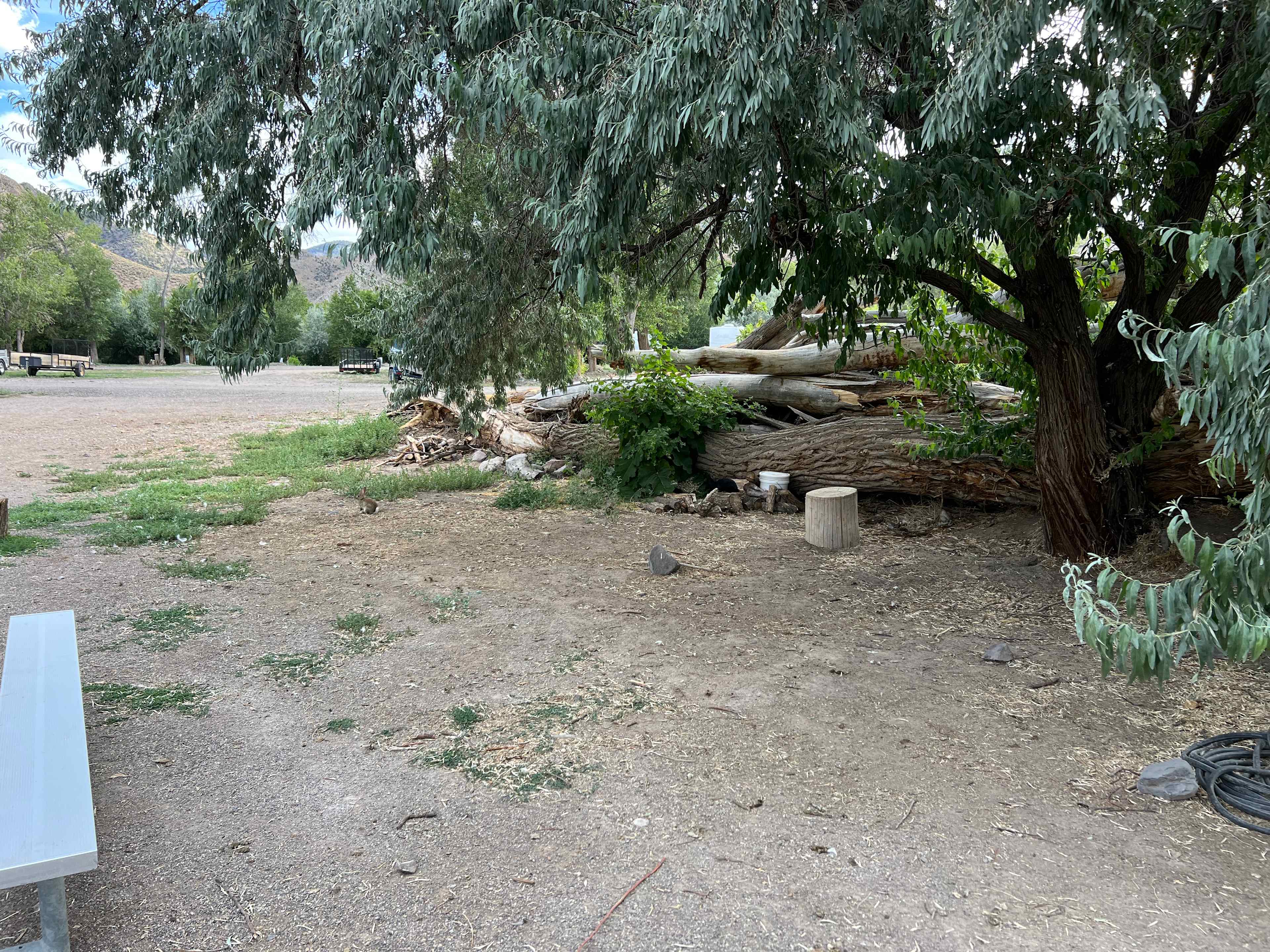 Picture of the site