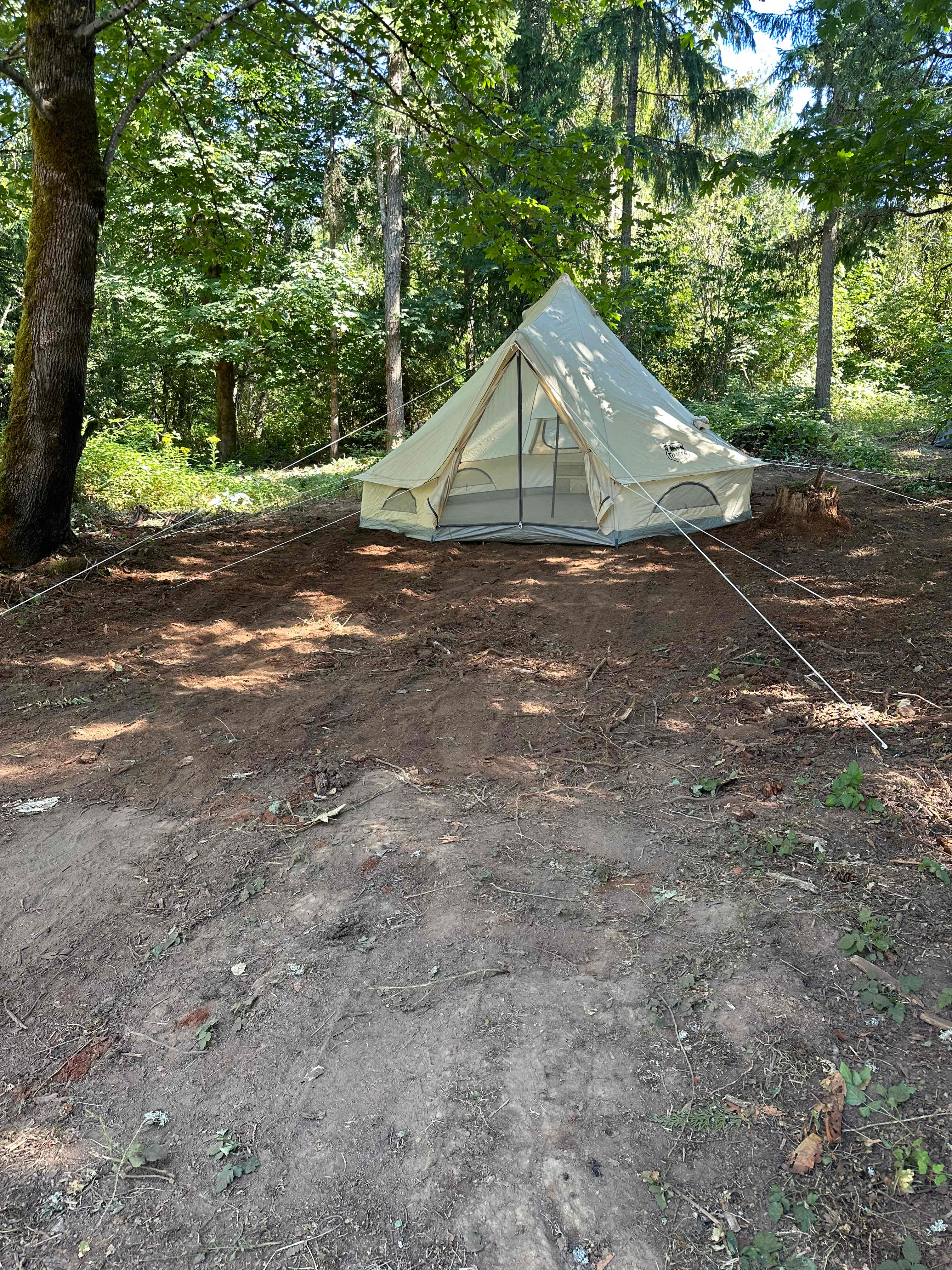 Picture of the site