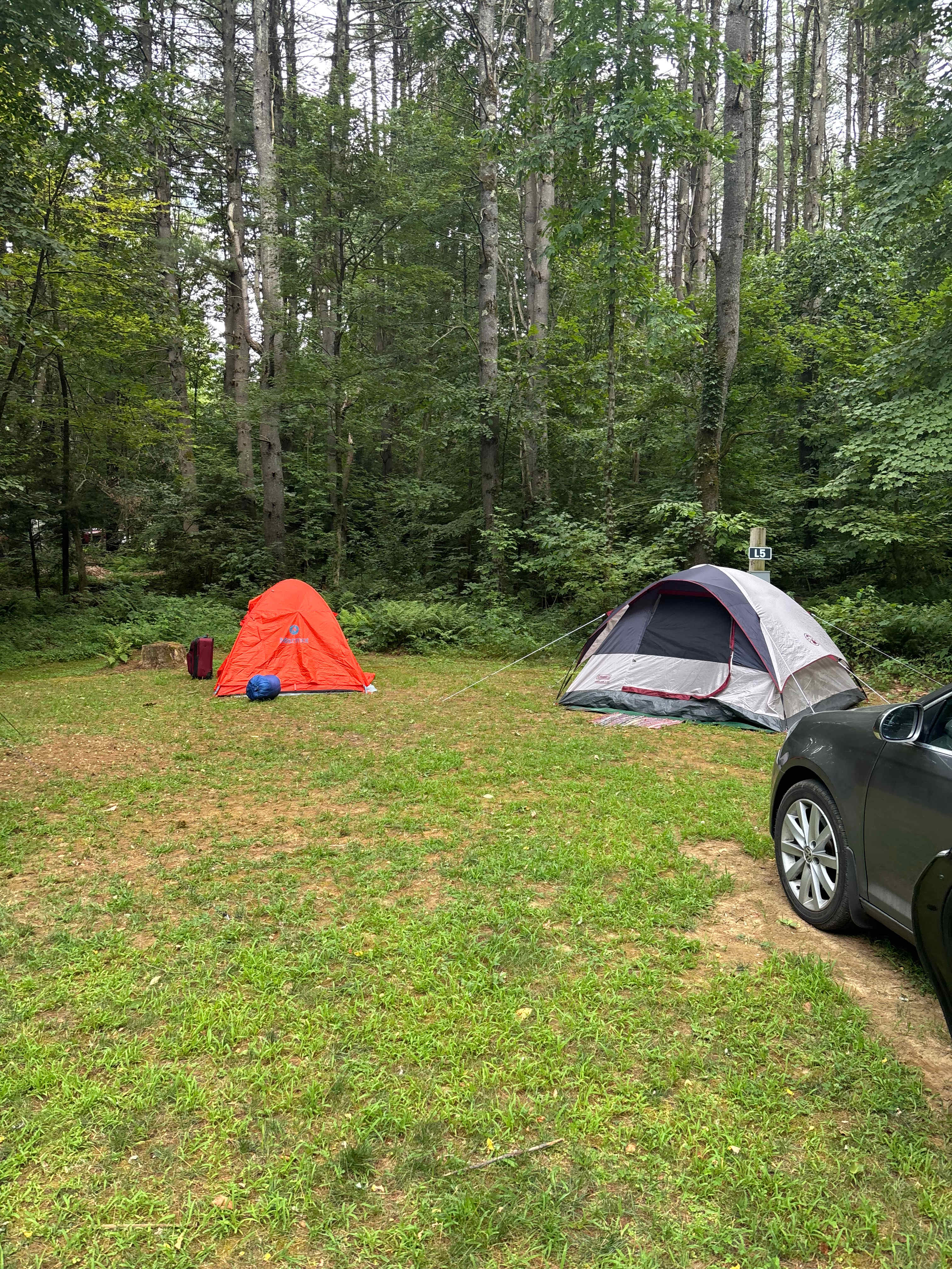 Picture of the site