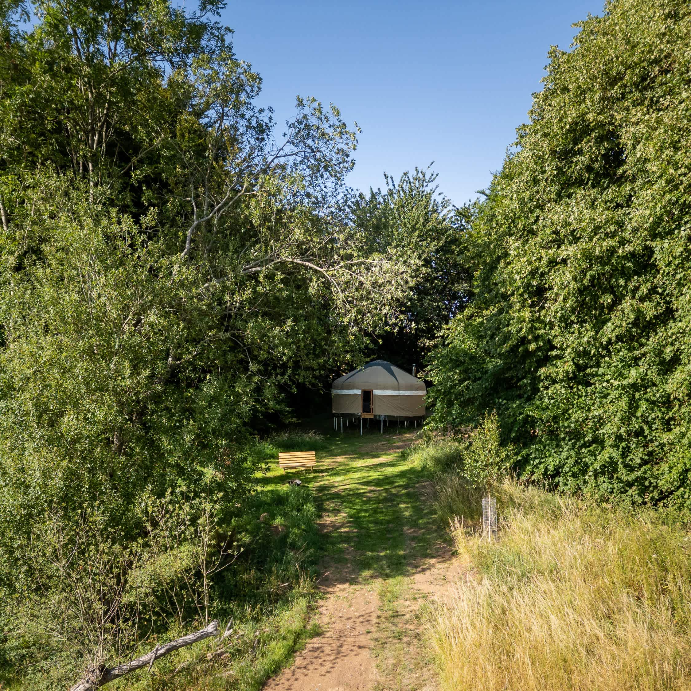 Picture of the site