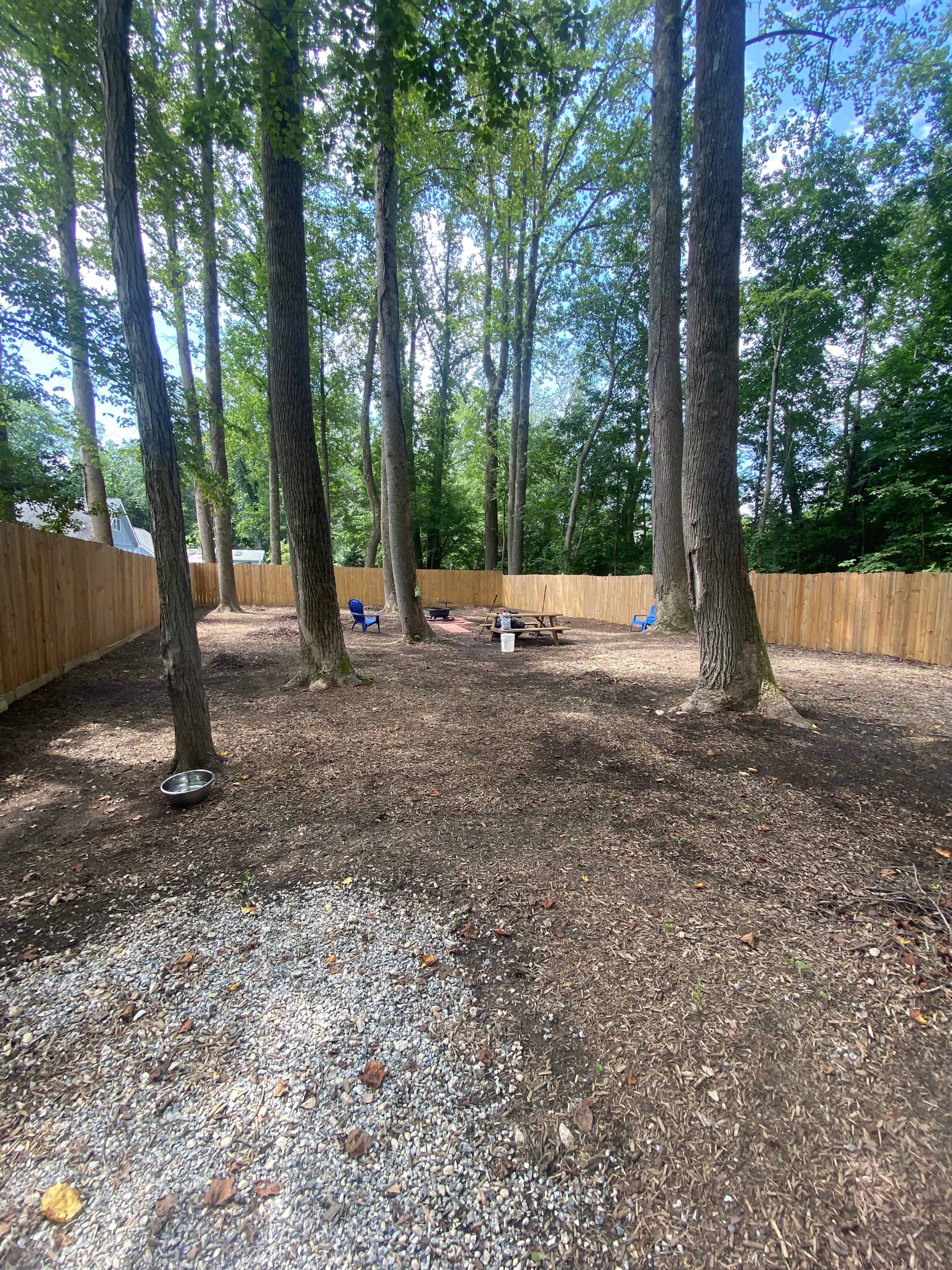 Picture of the site