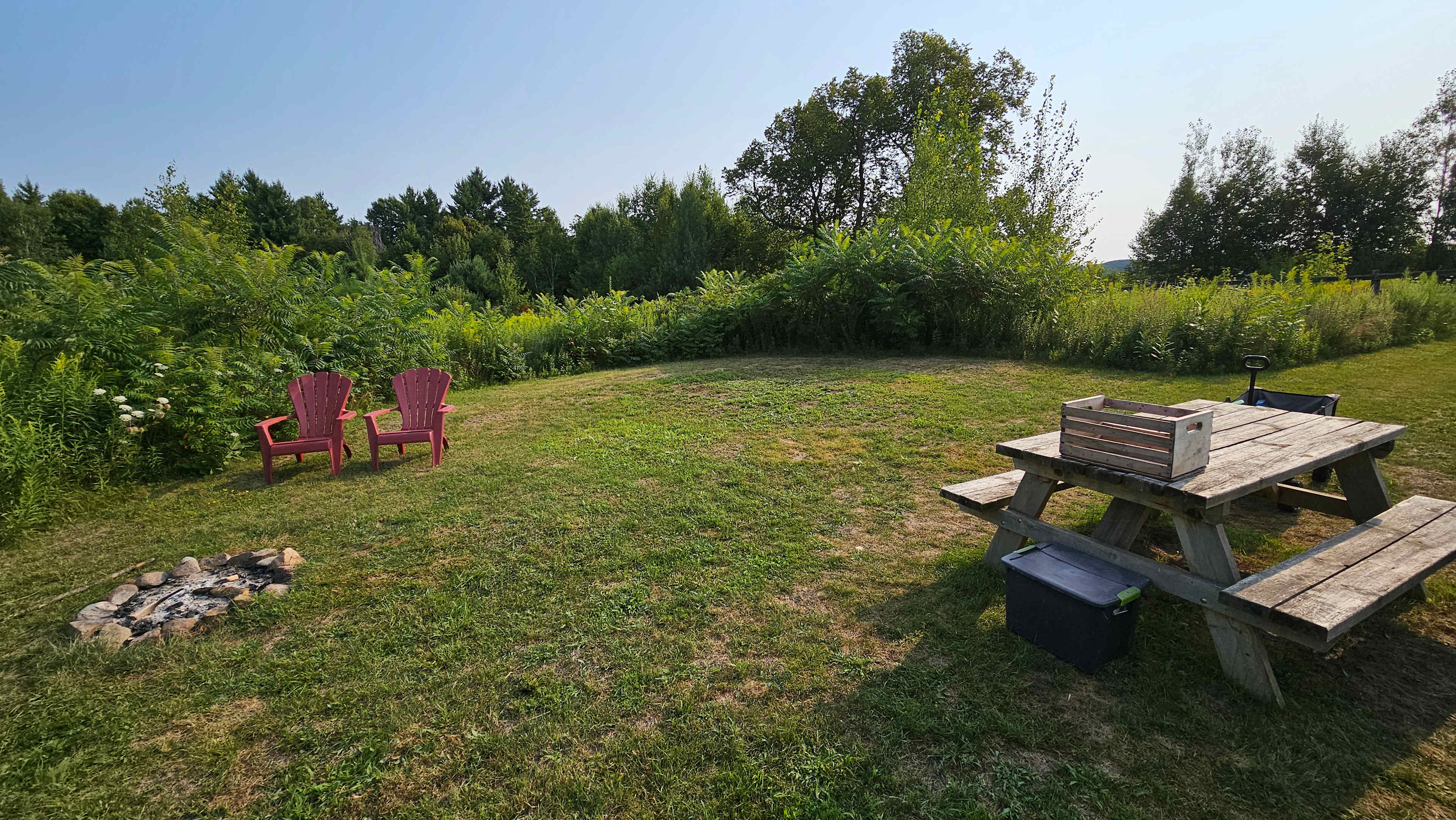 Picture of the site