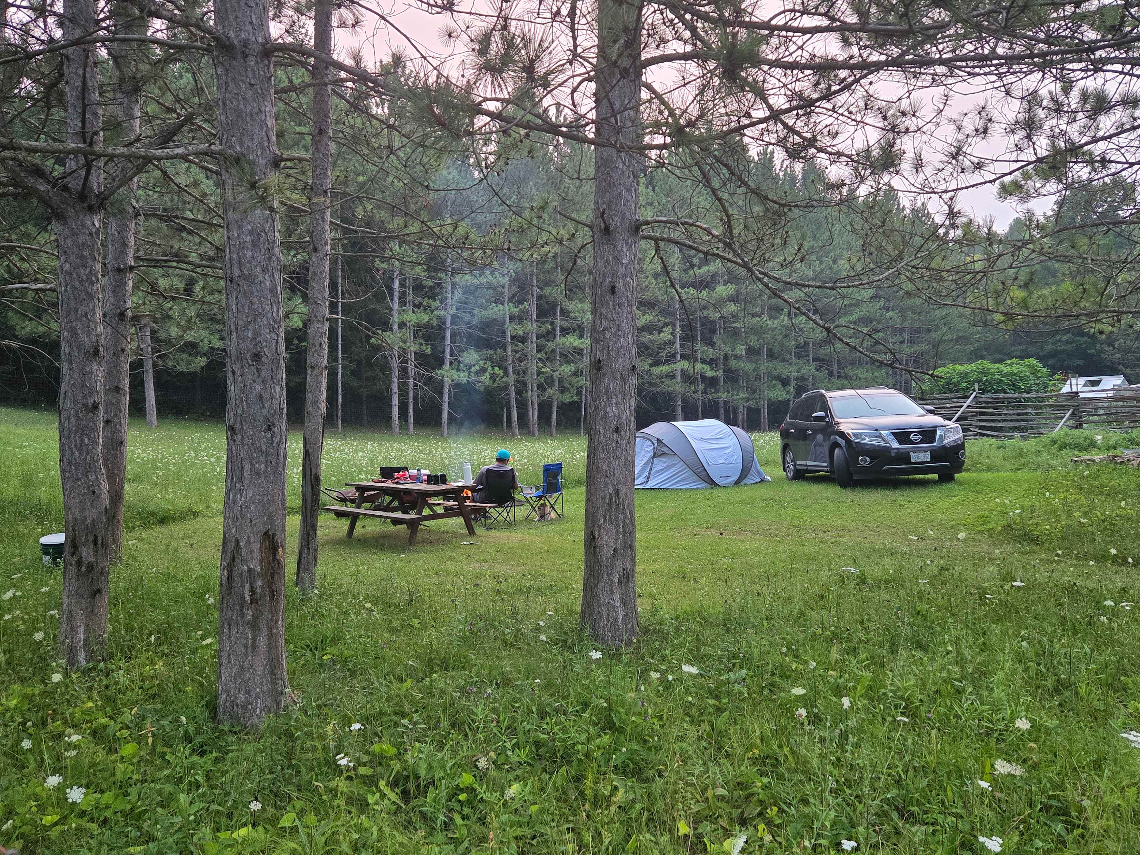 Picture of the site