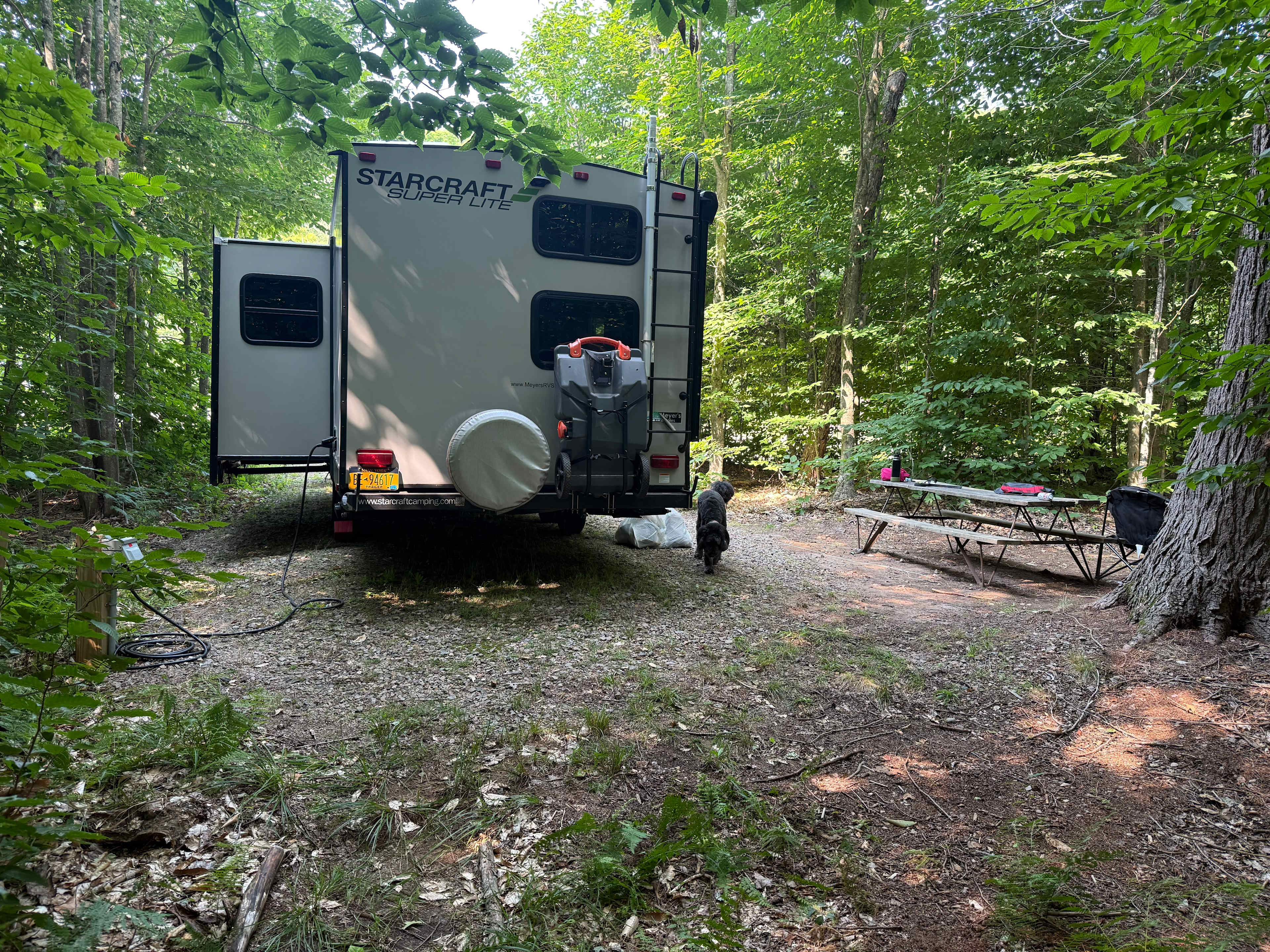 Picture of the site