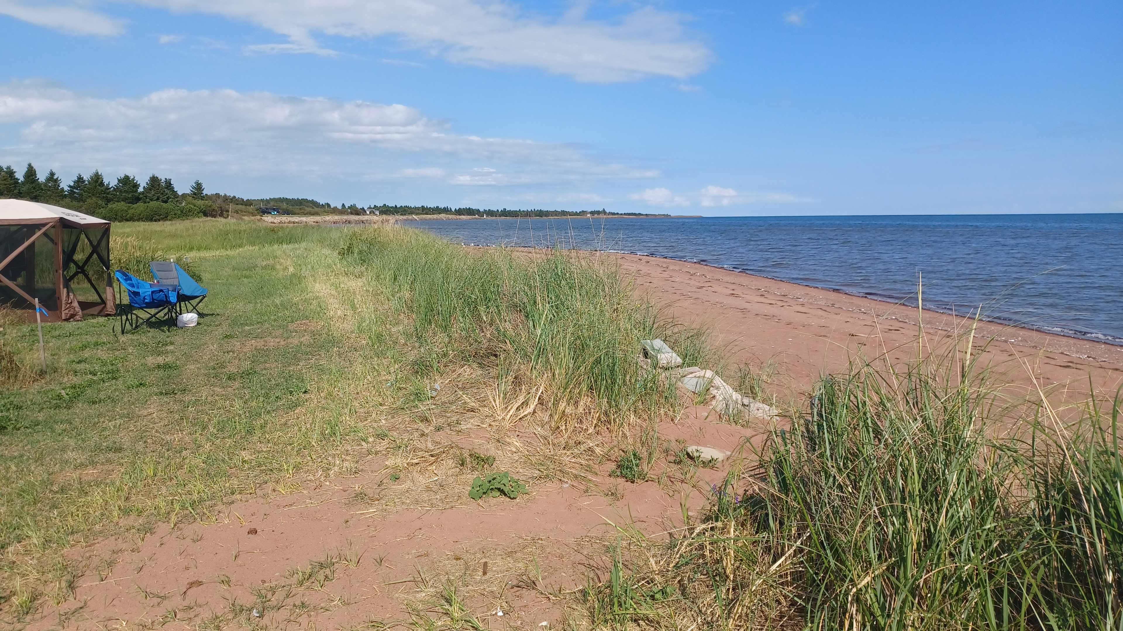 Picture of the site
