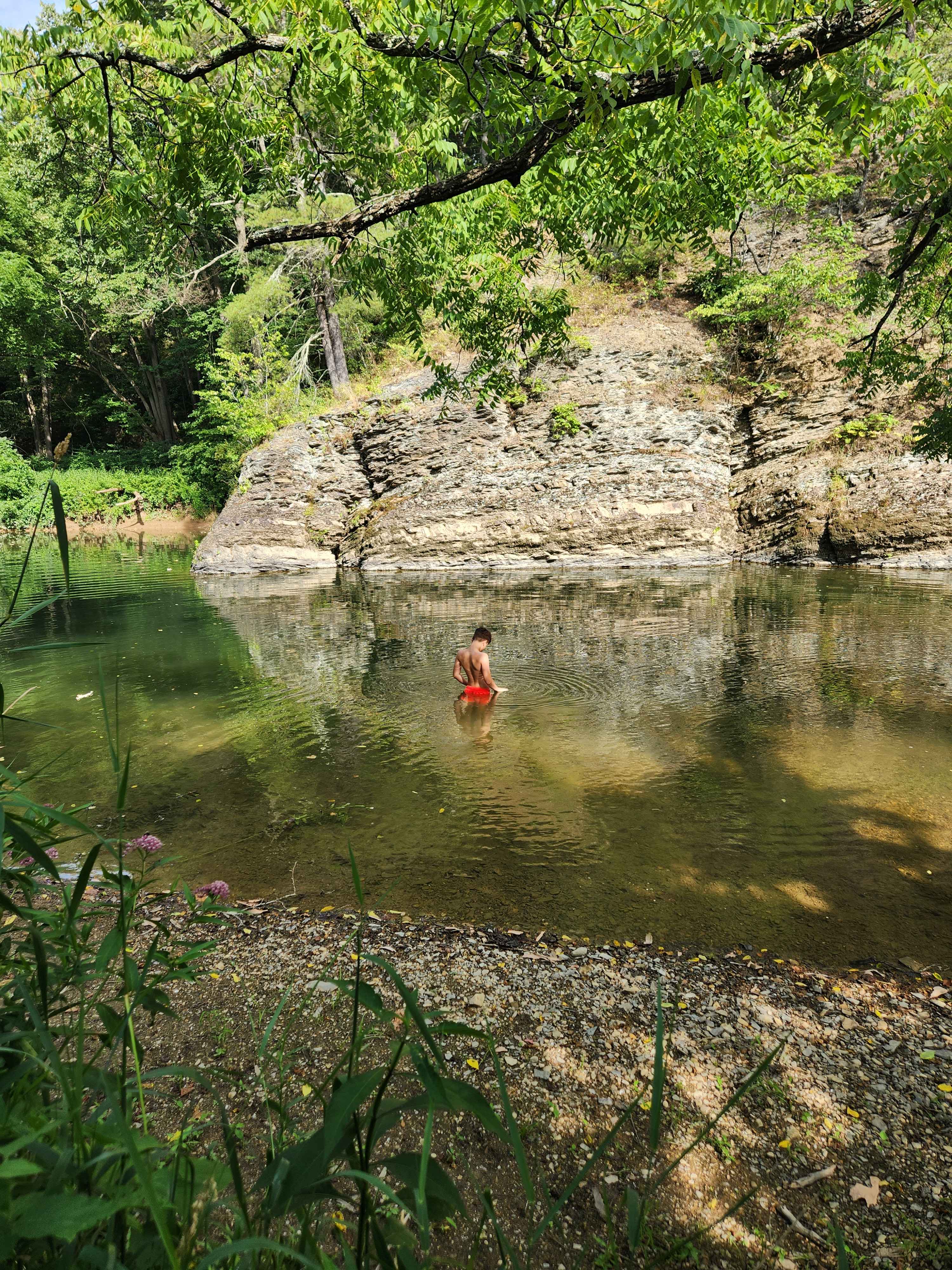 Picture of the site