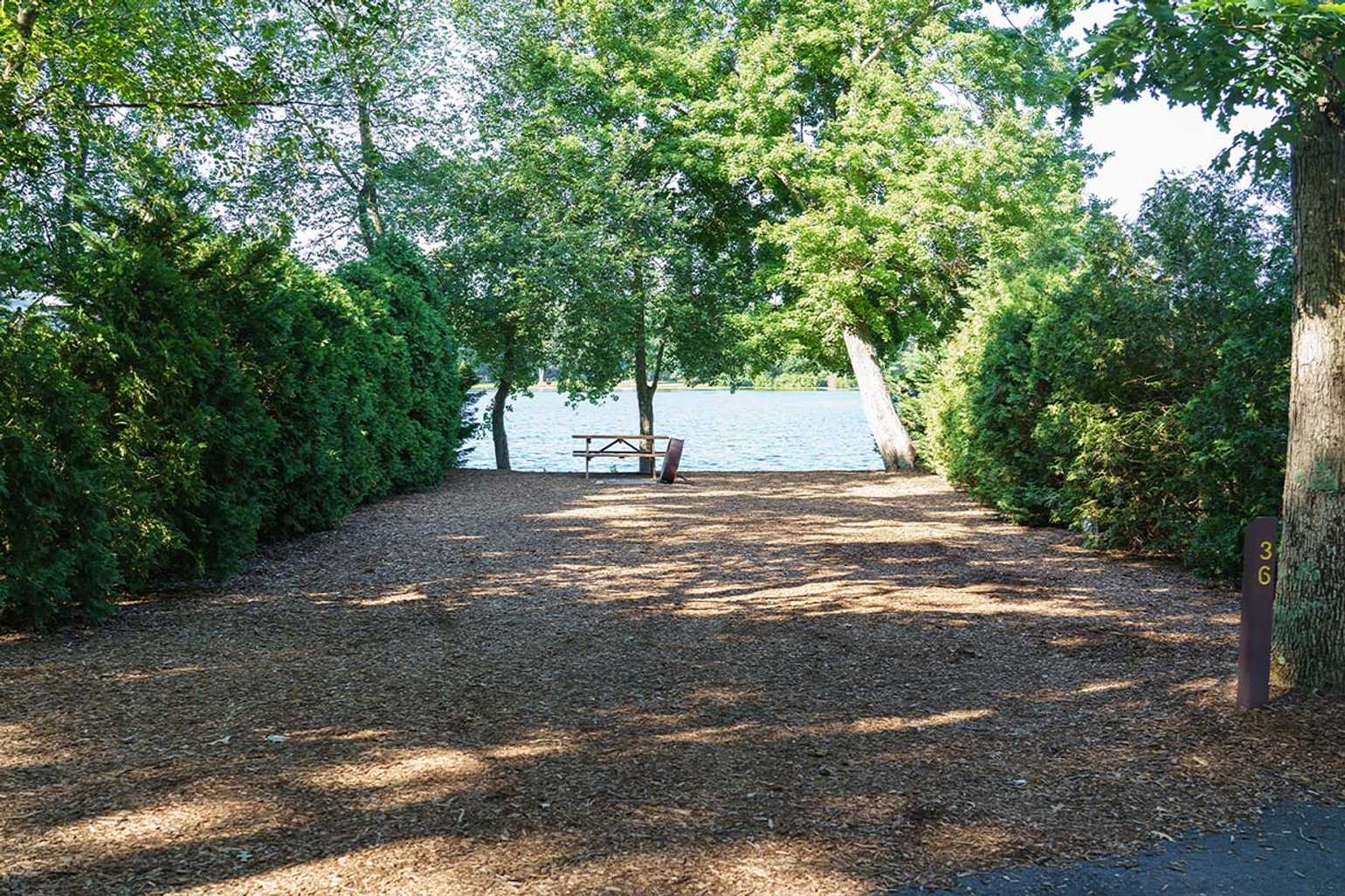 Picture of the site