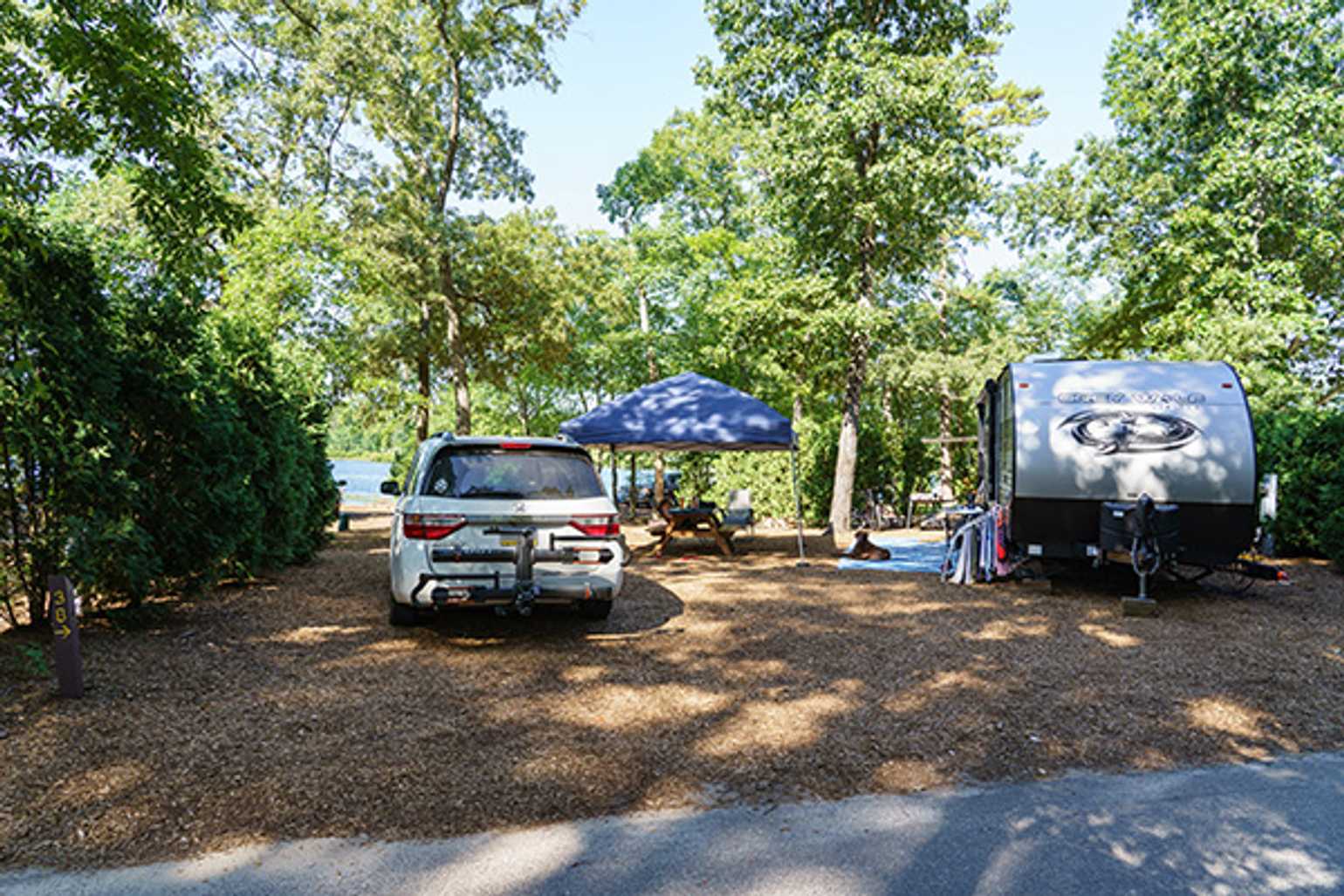 Picture of the site