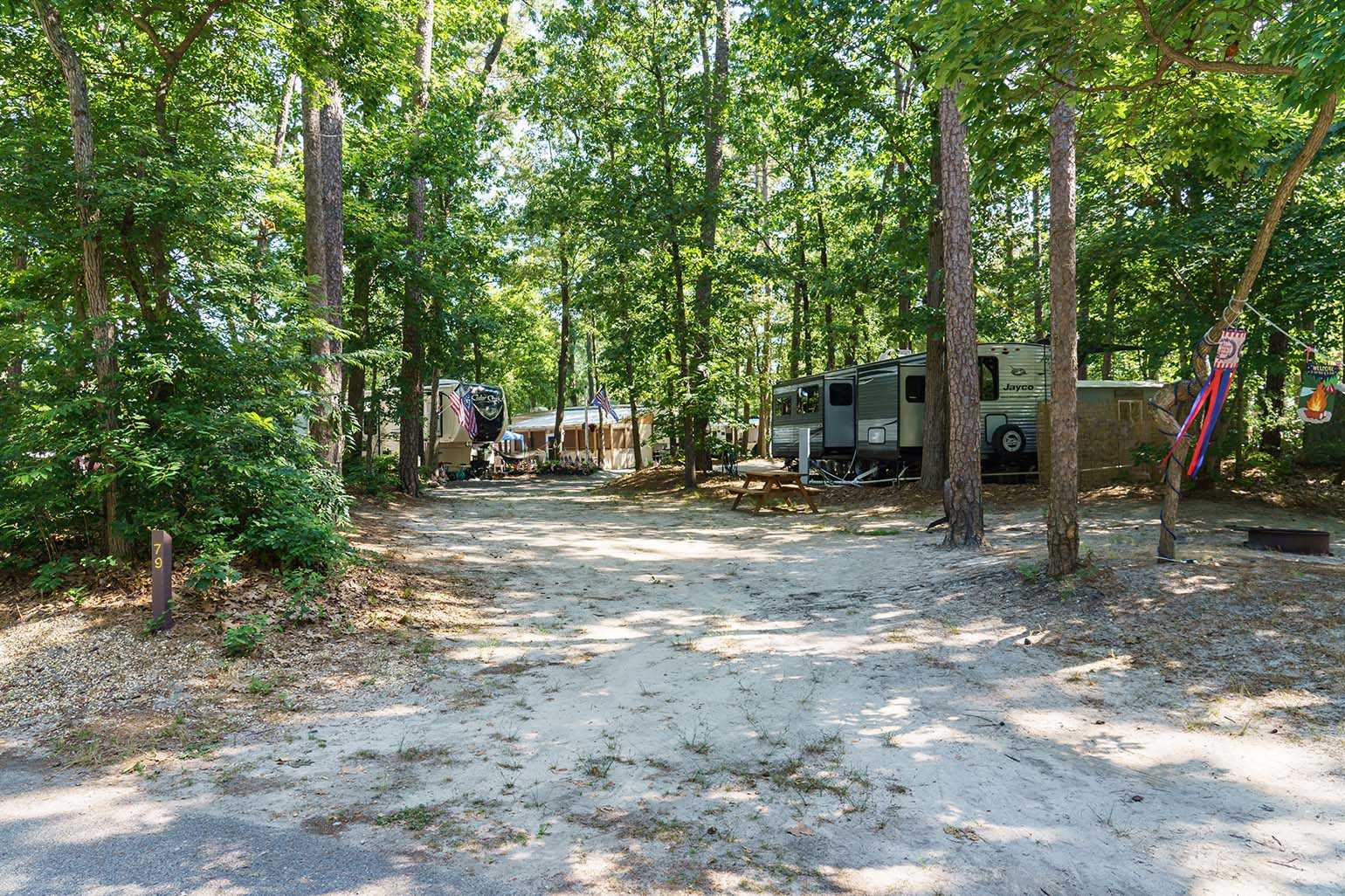 Picture of the site