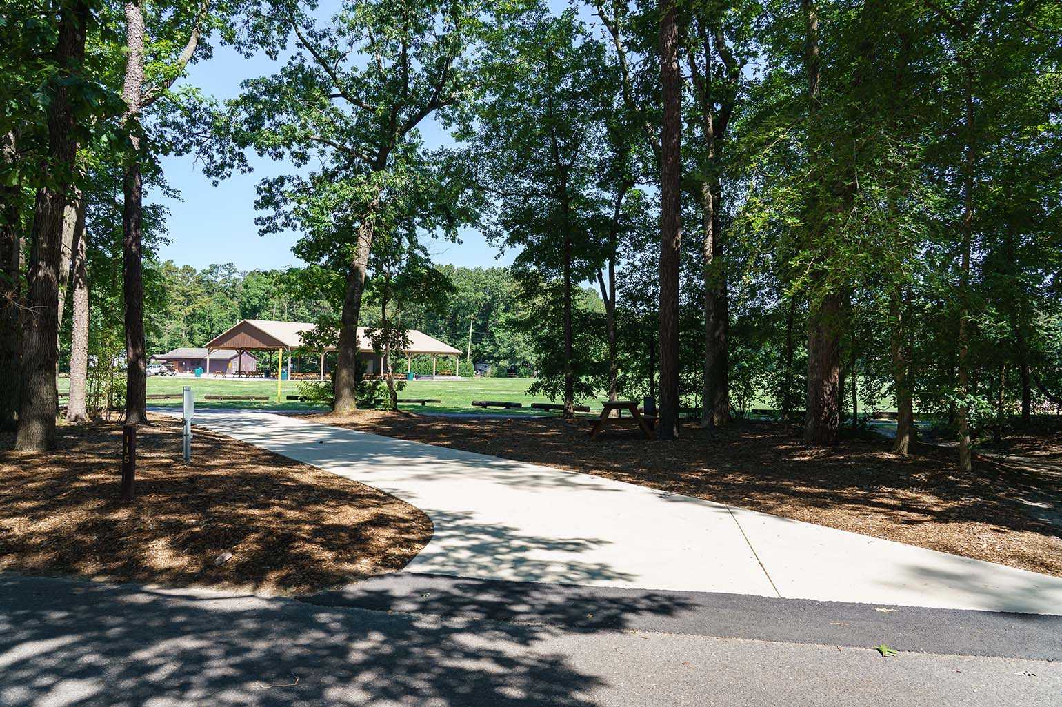 Picture of the site