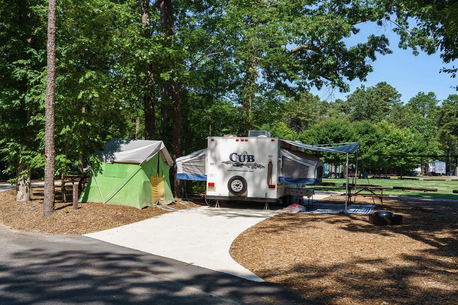 Picture of the site