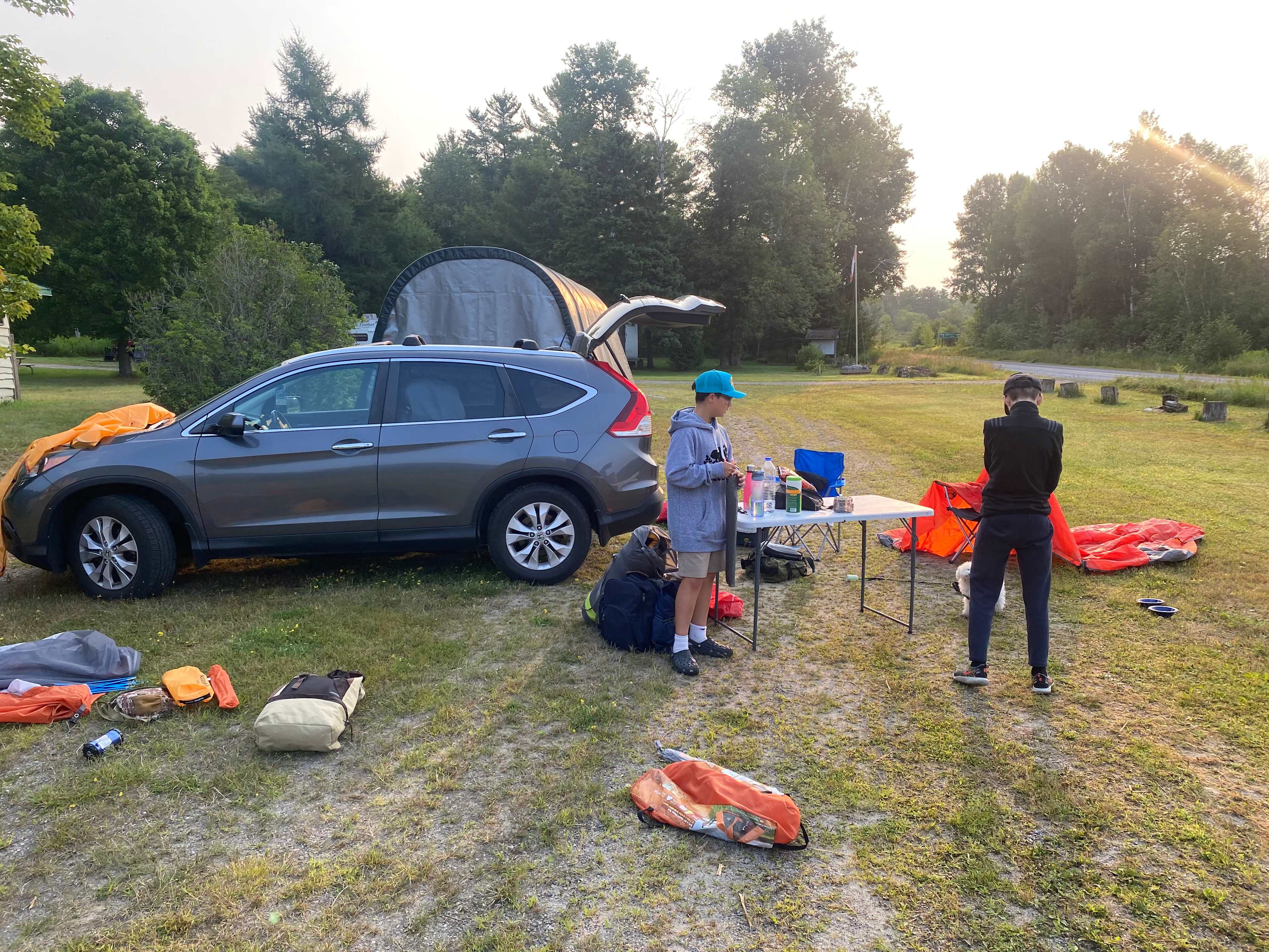 Picture of the site
