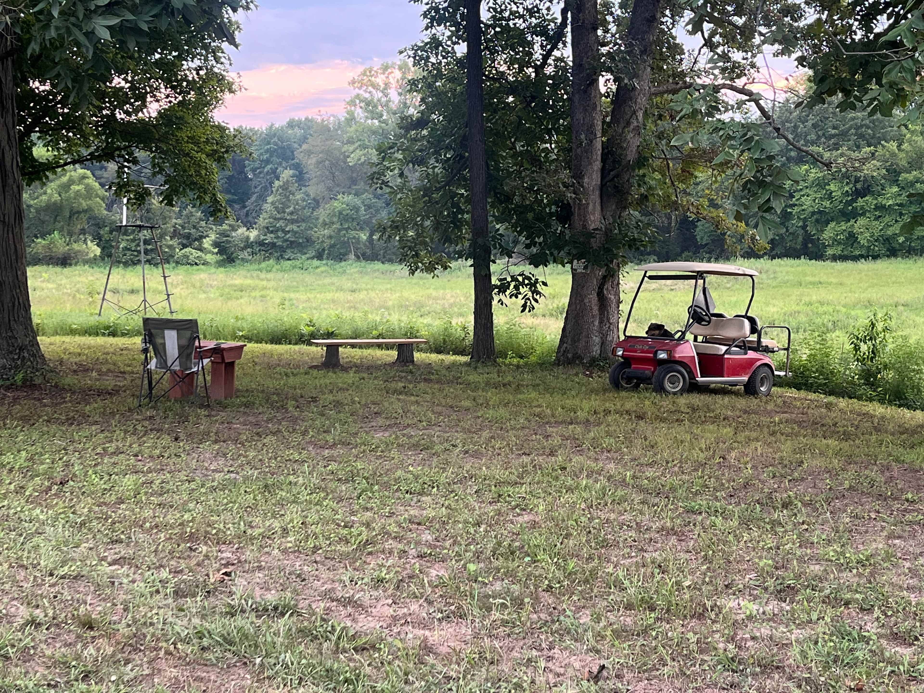 Picture of the site