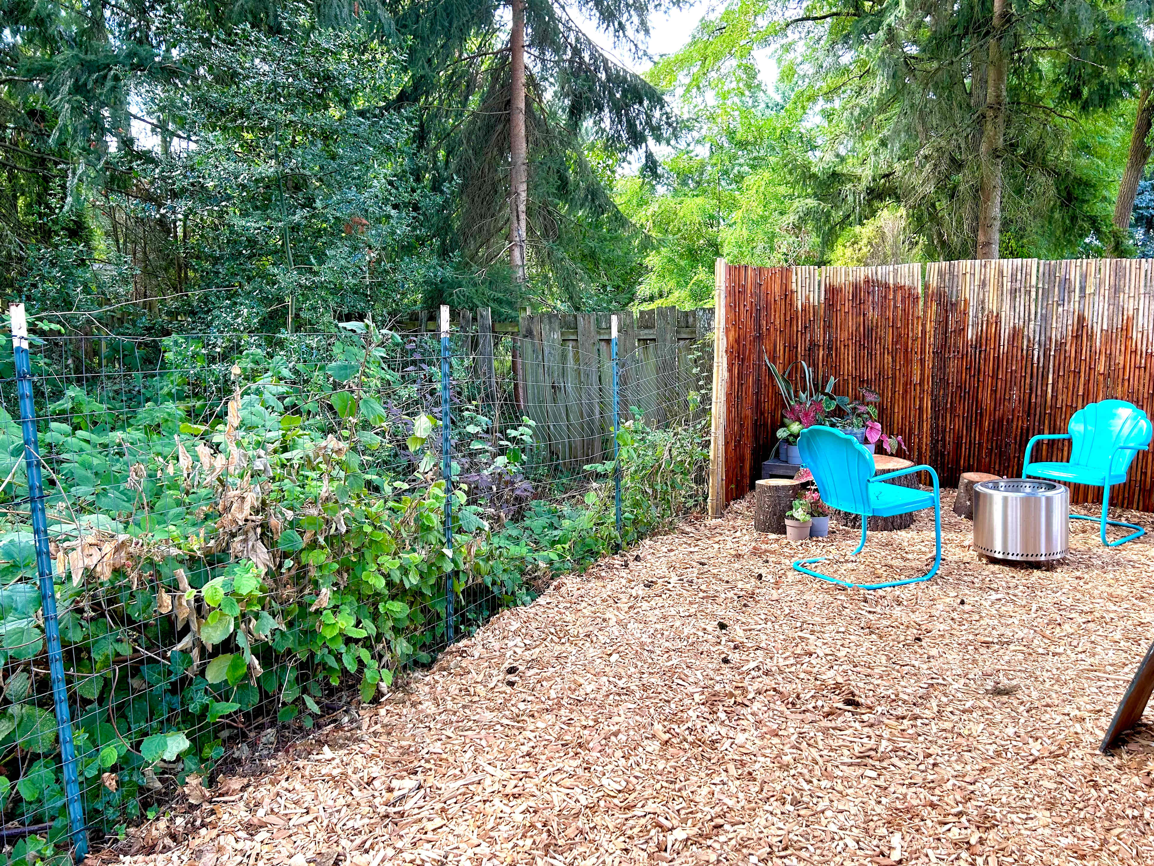 Picture of the site