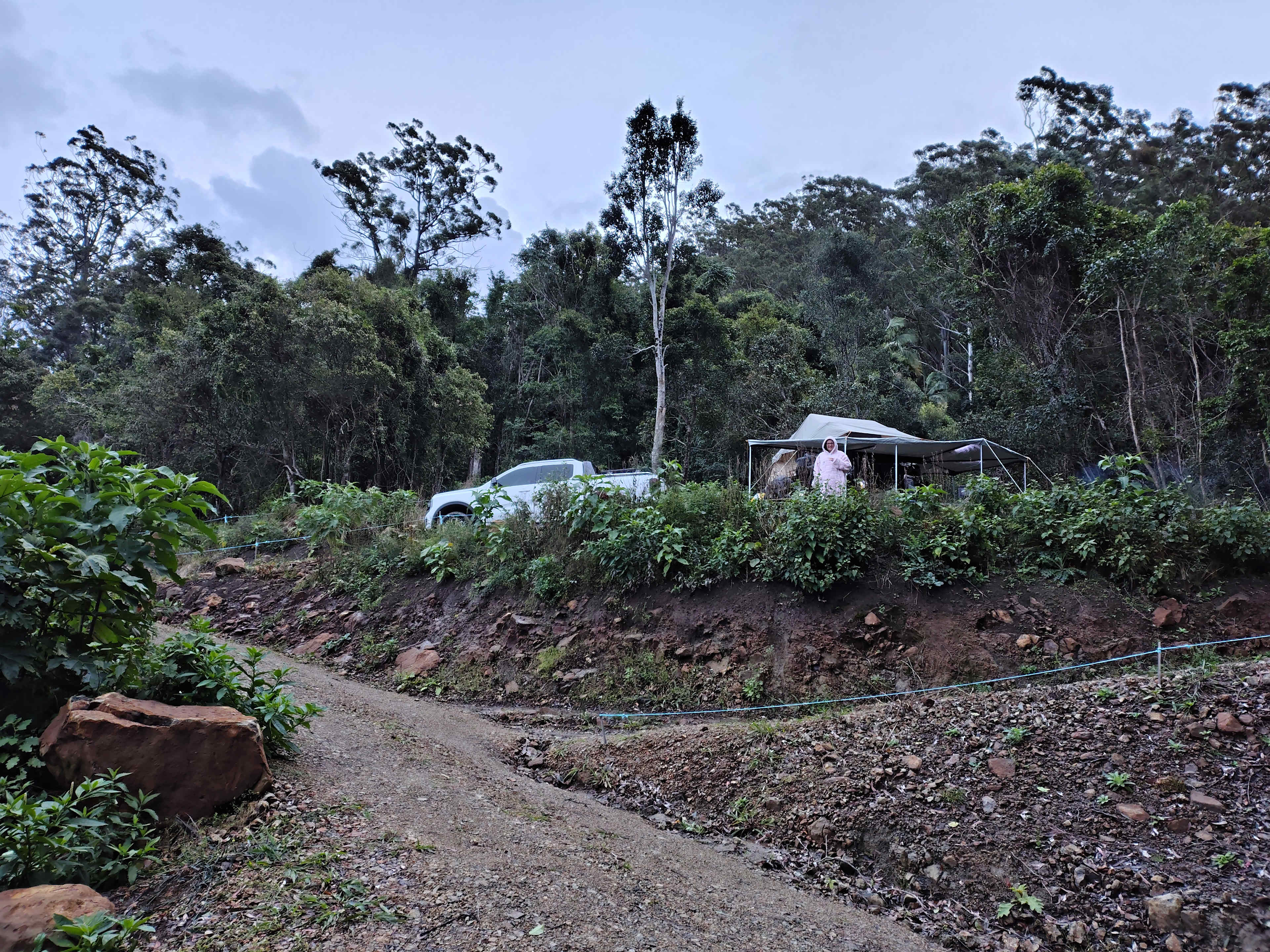Picture of the site