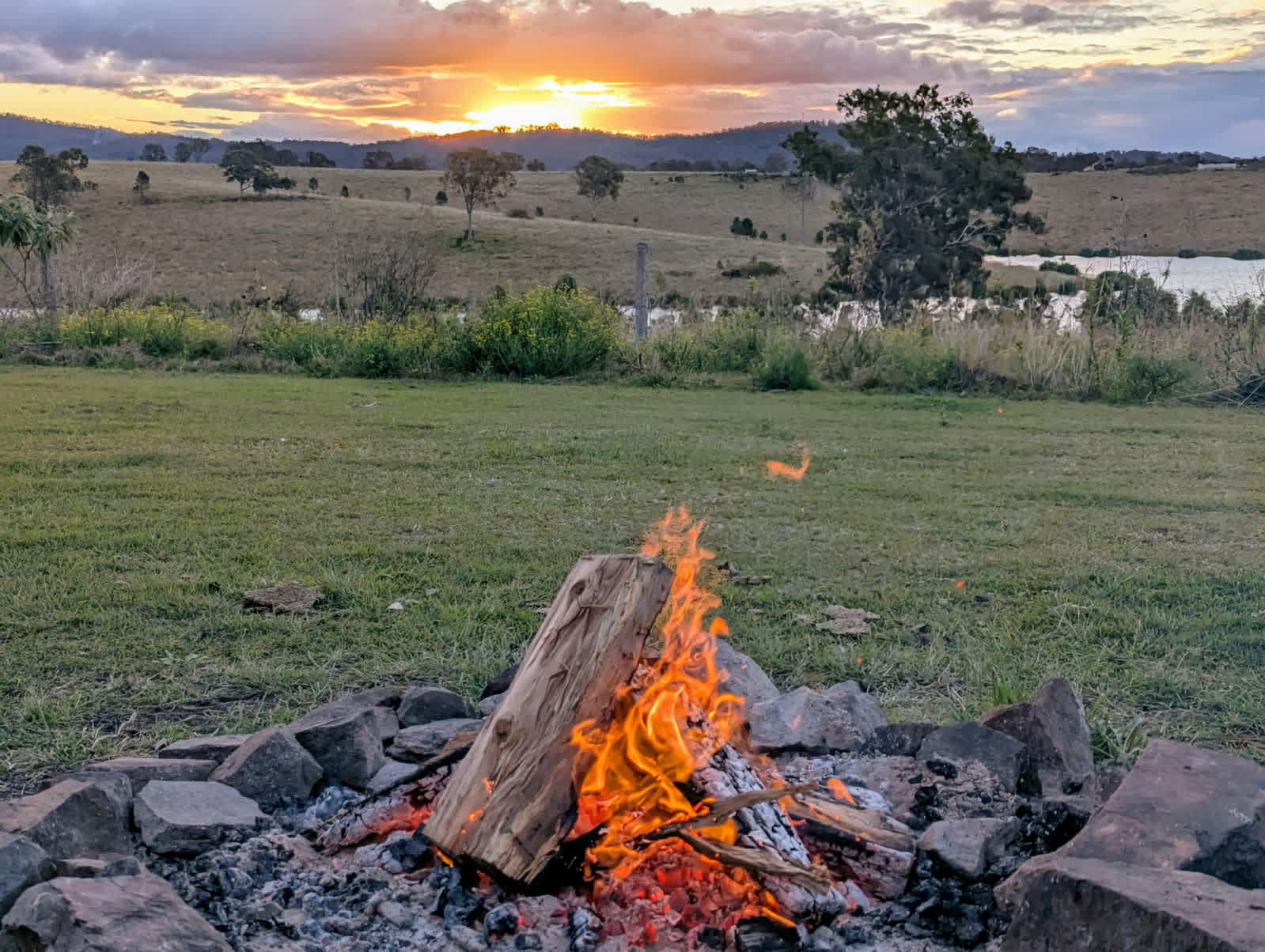 Picture of the site
