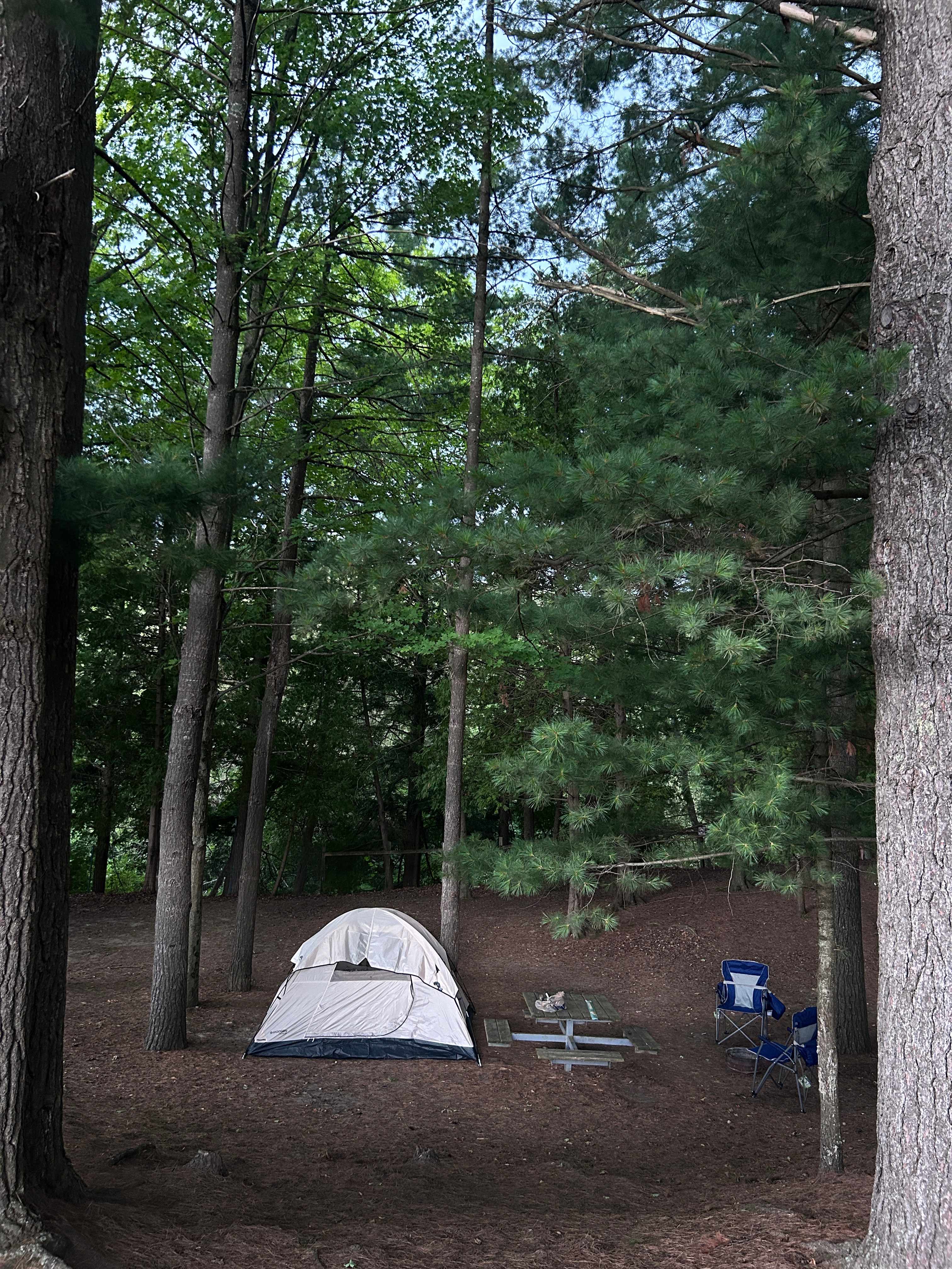 Picture of the site