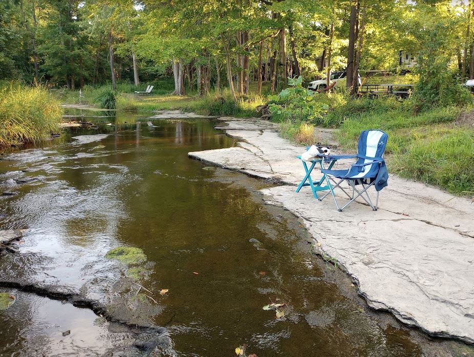 Picture of the site