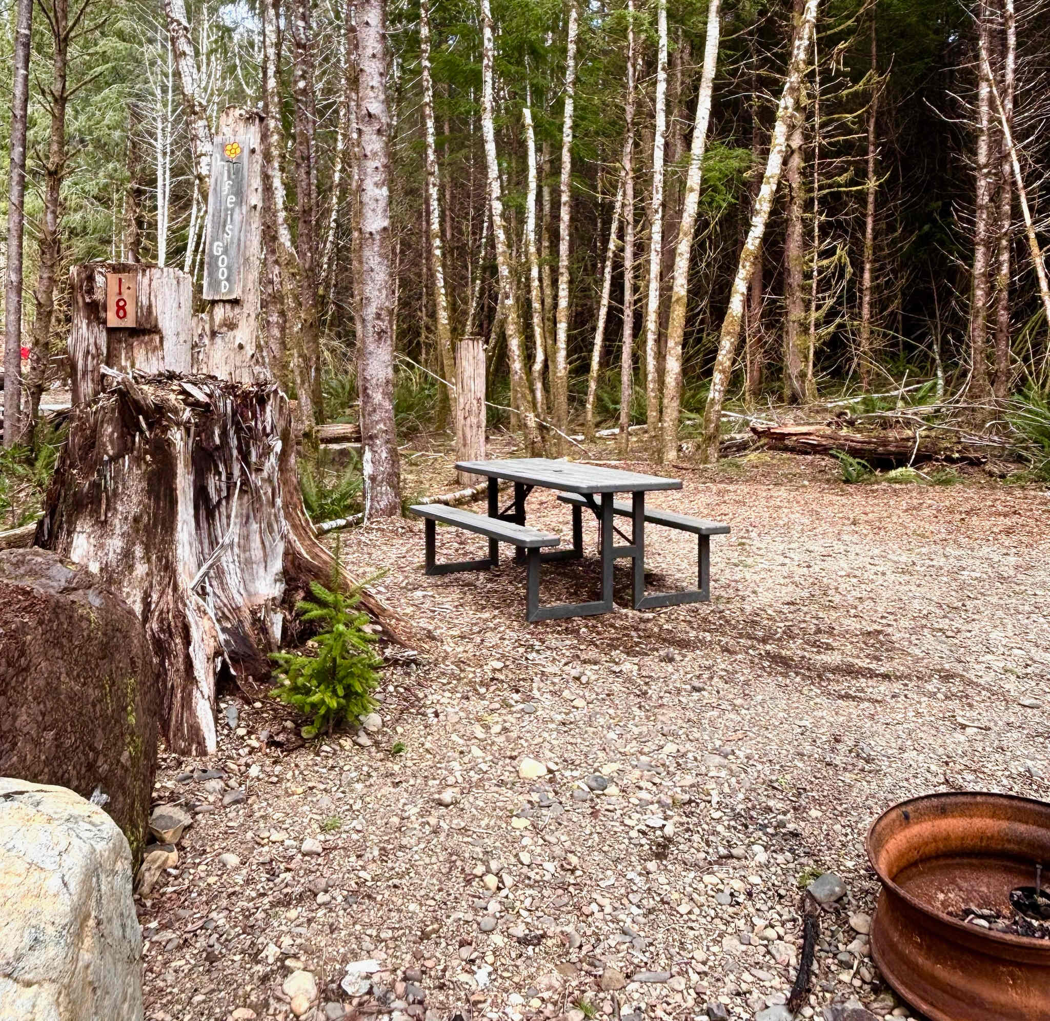 Picture of the site