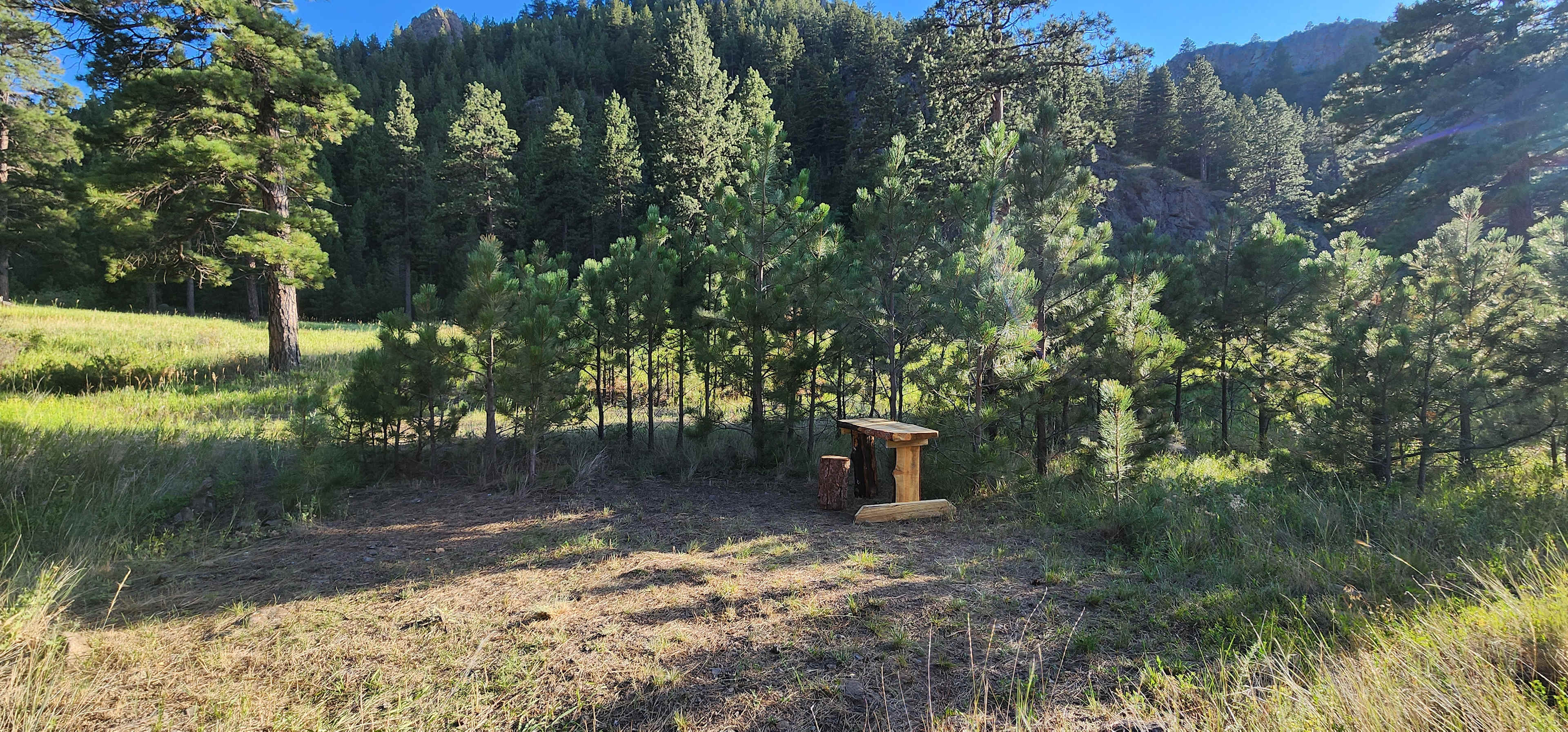 Picture of the site