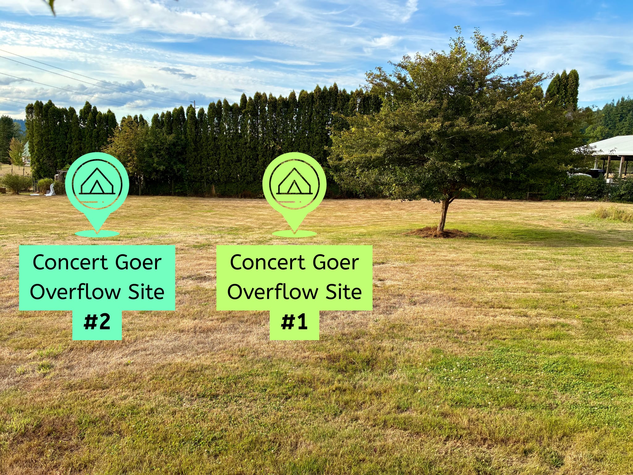 Picture of the site