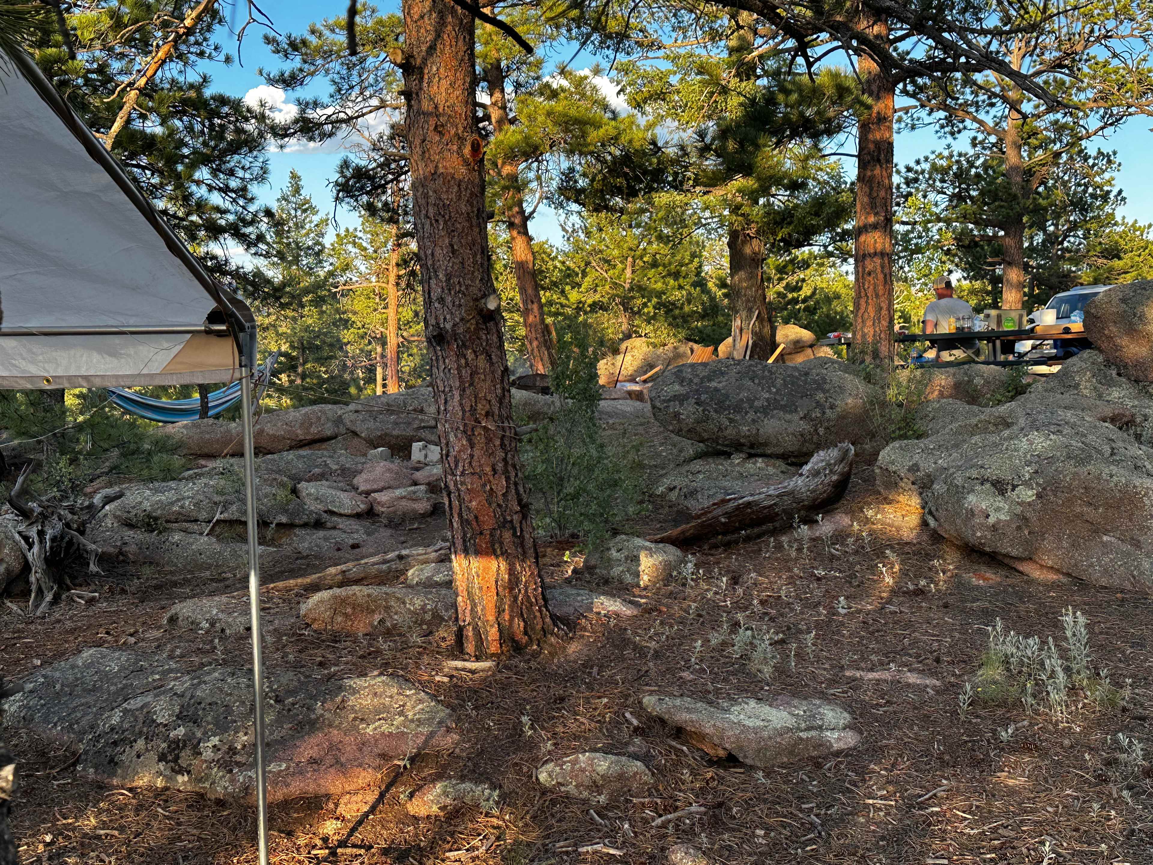 Picture of the site