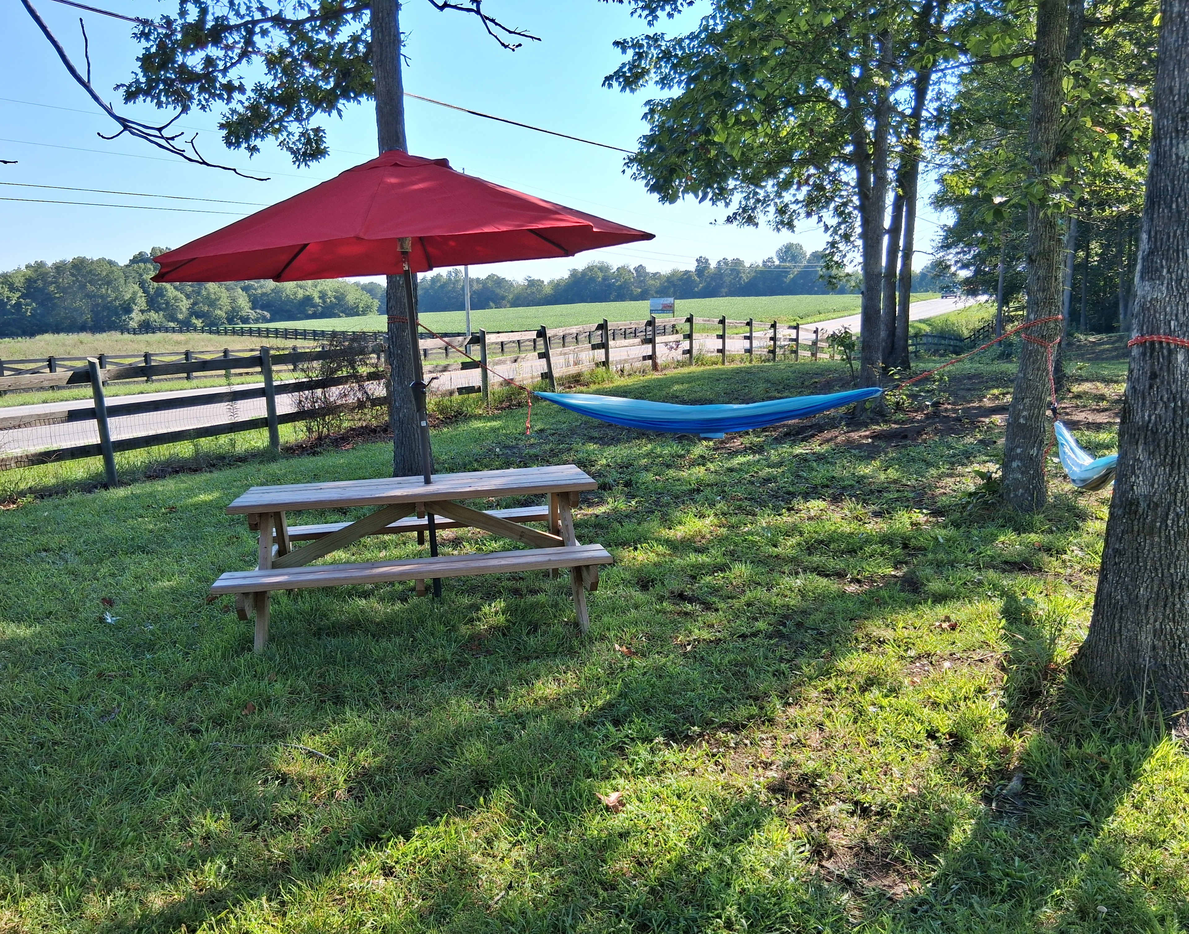 Picture of the site