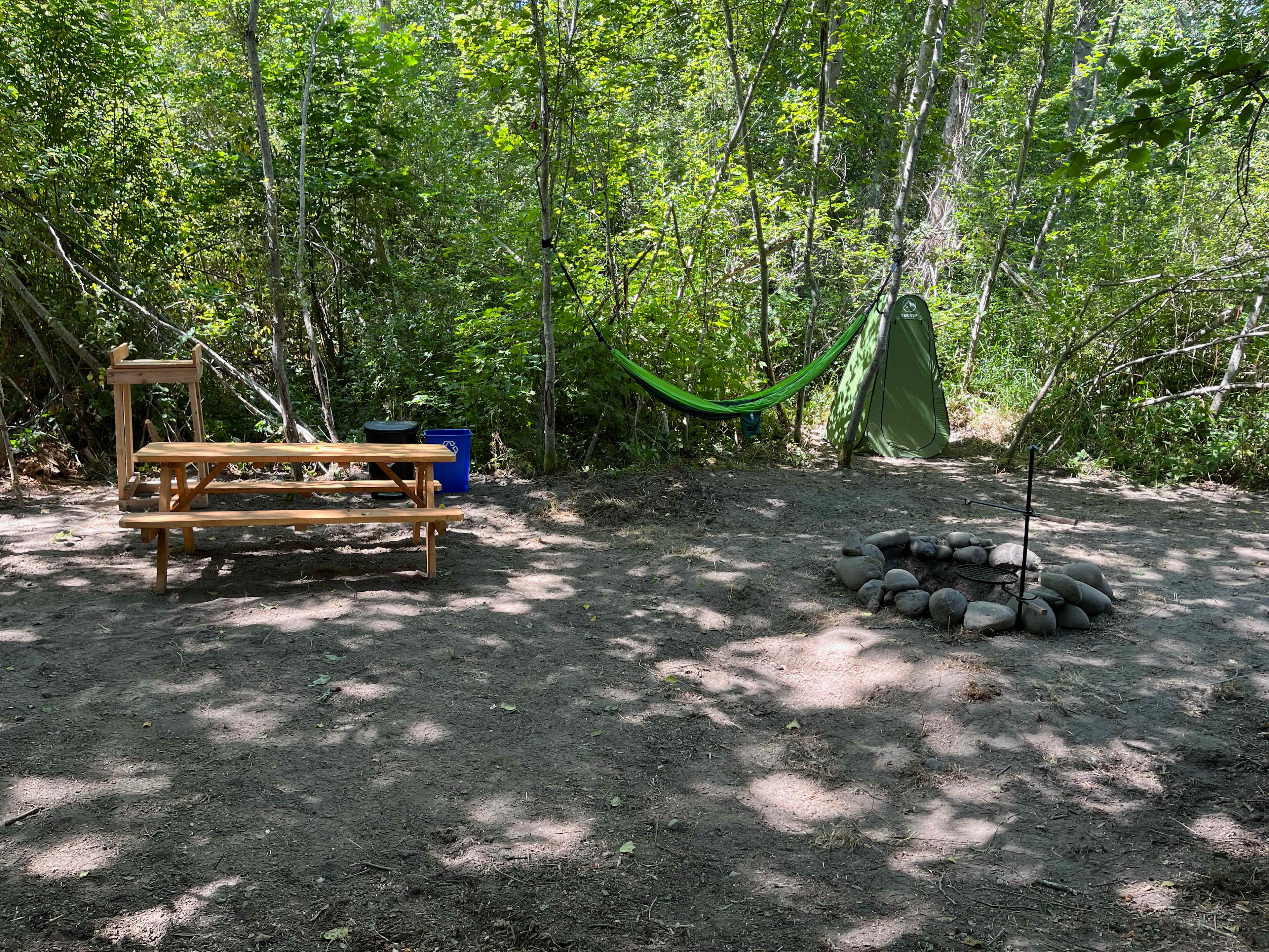 Picture of the site