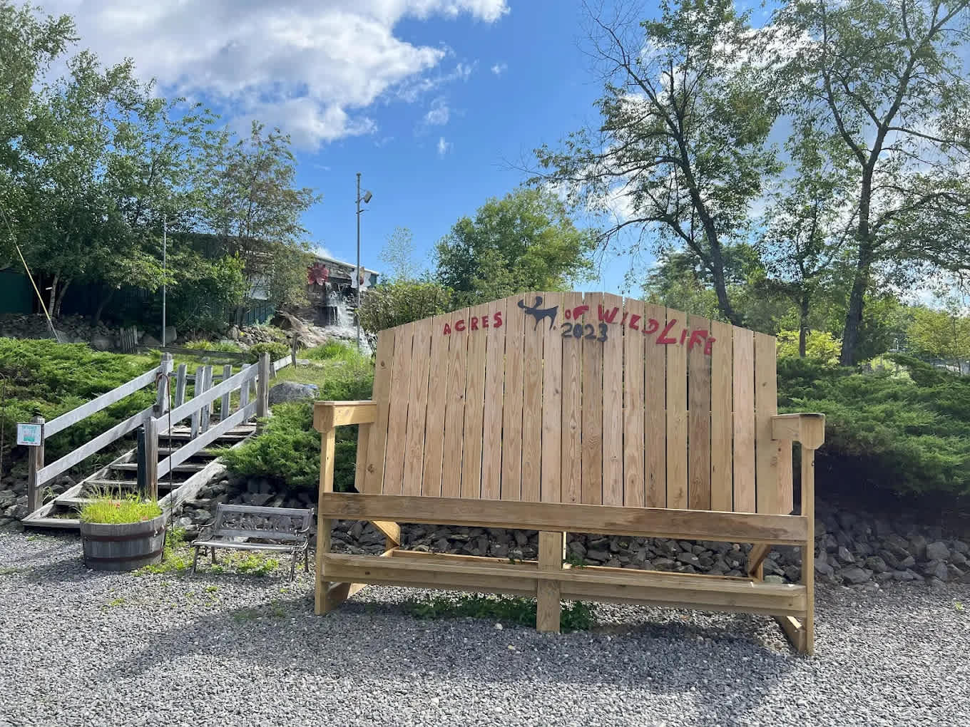 Picture of the site