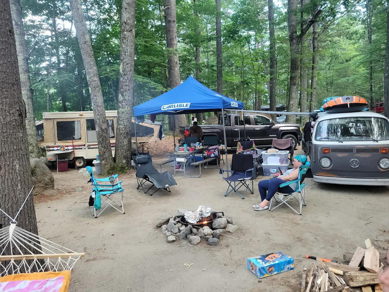 Picture of the site