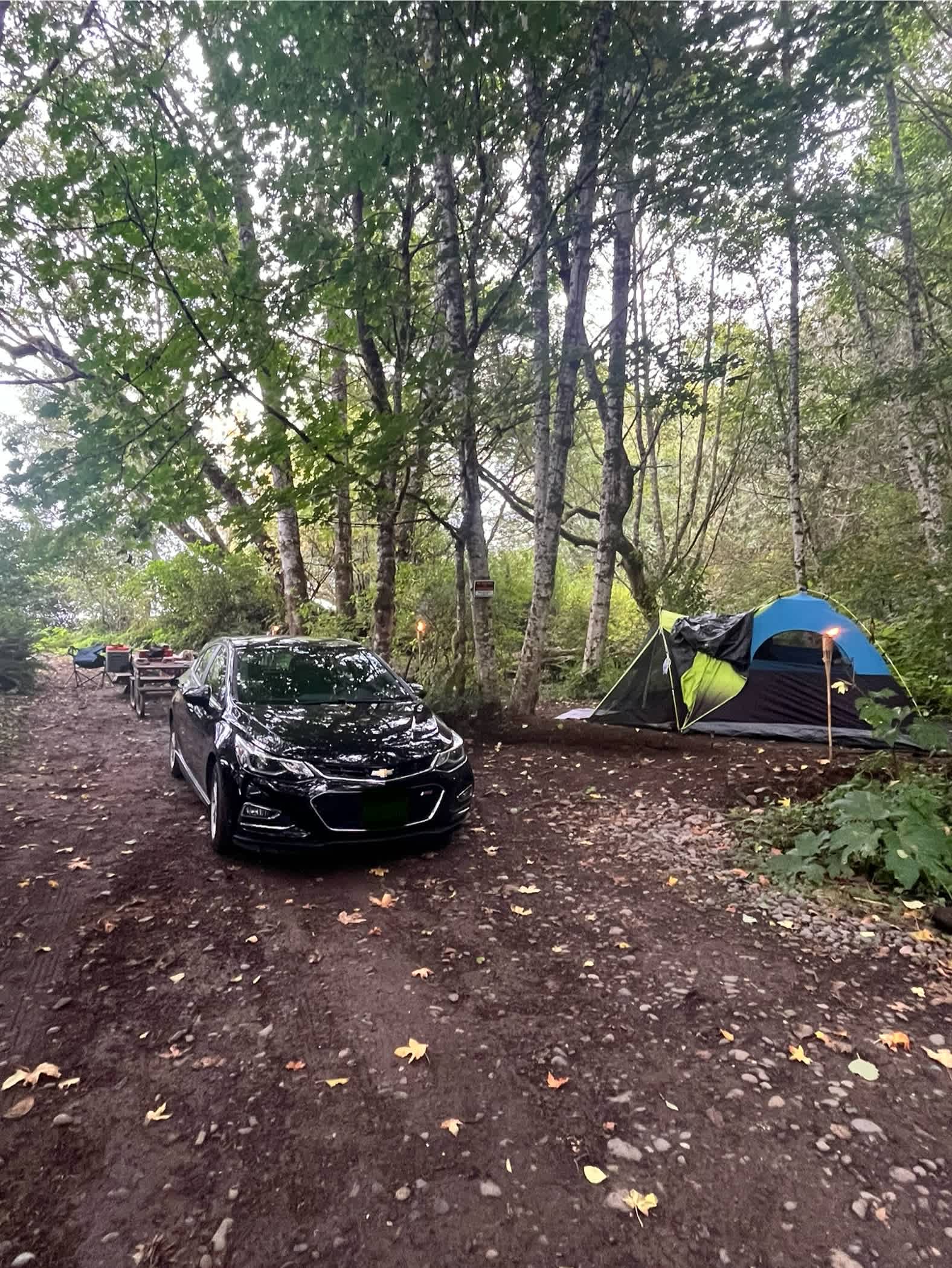 Picture of the site