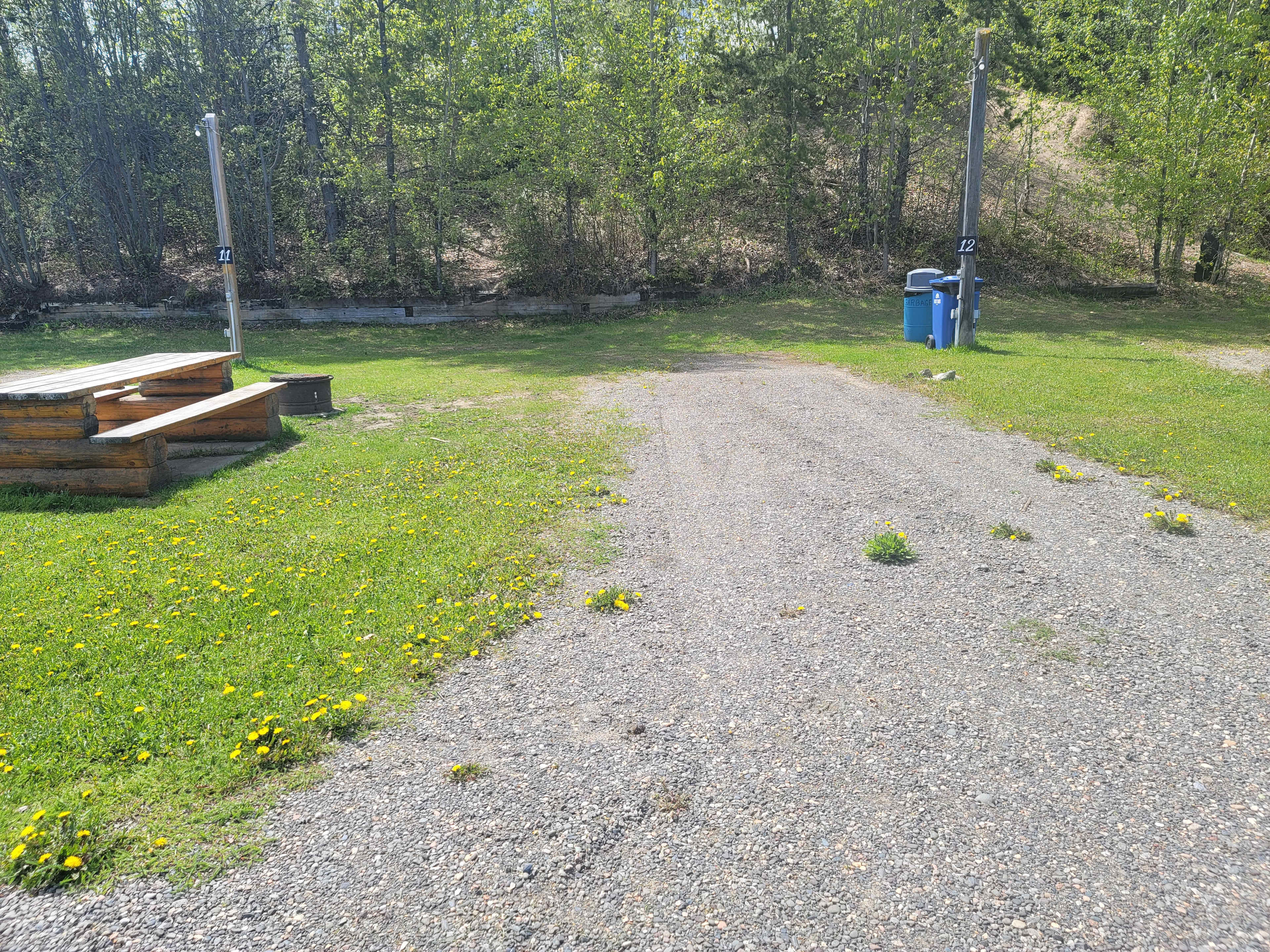 Picture of the site