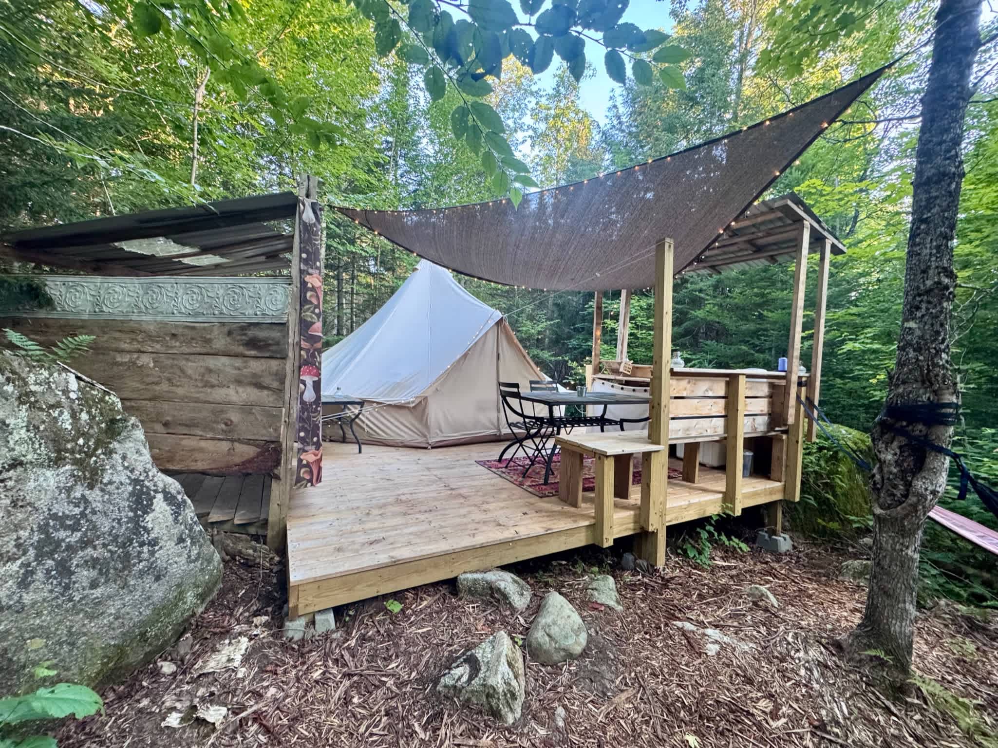 Picture of the site