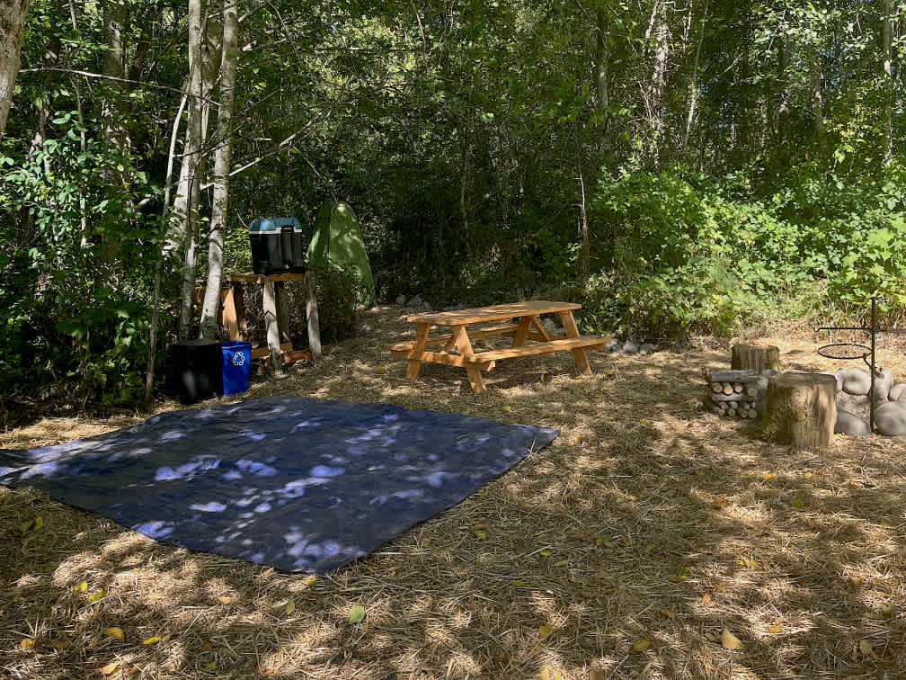 Picture of the site