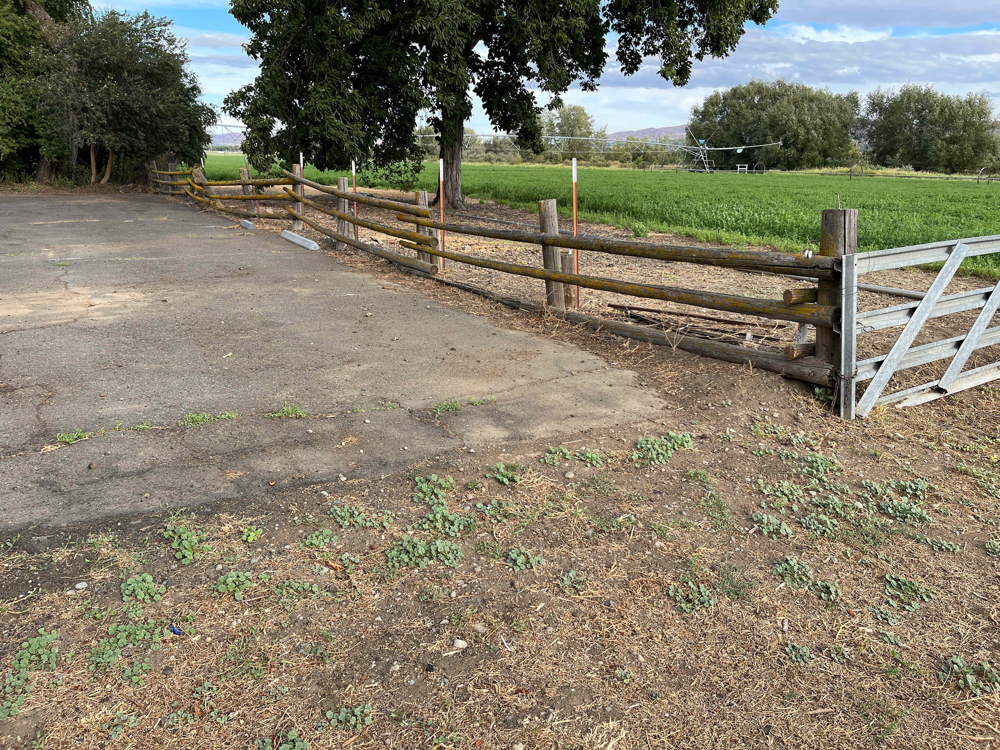 Picture of the site