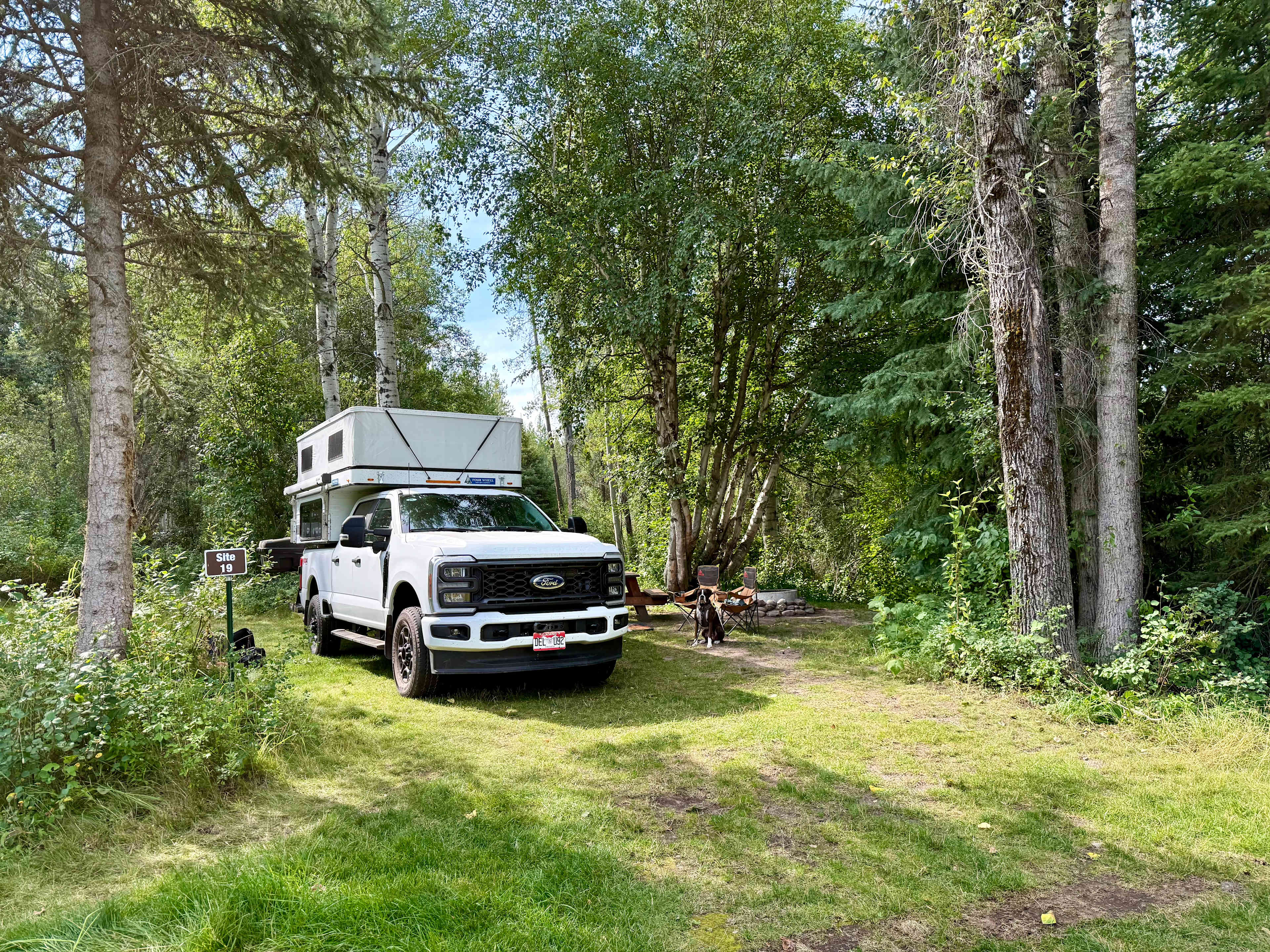 Picture of the site