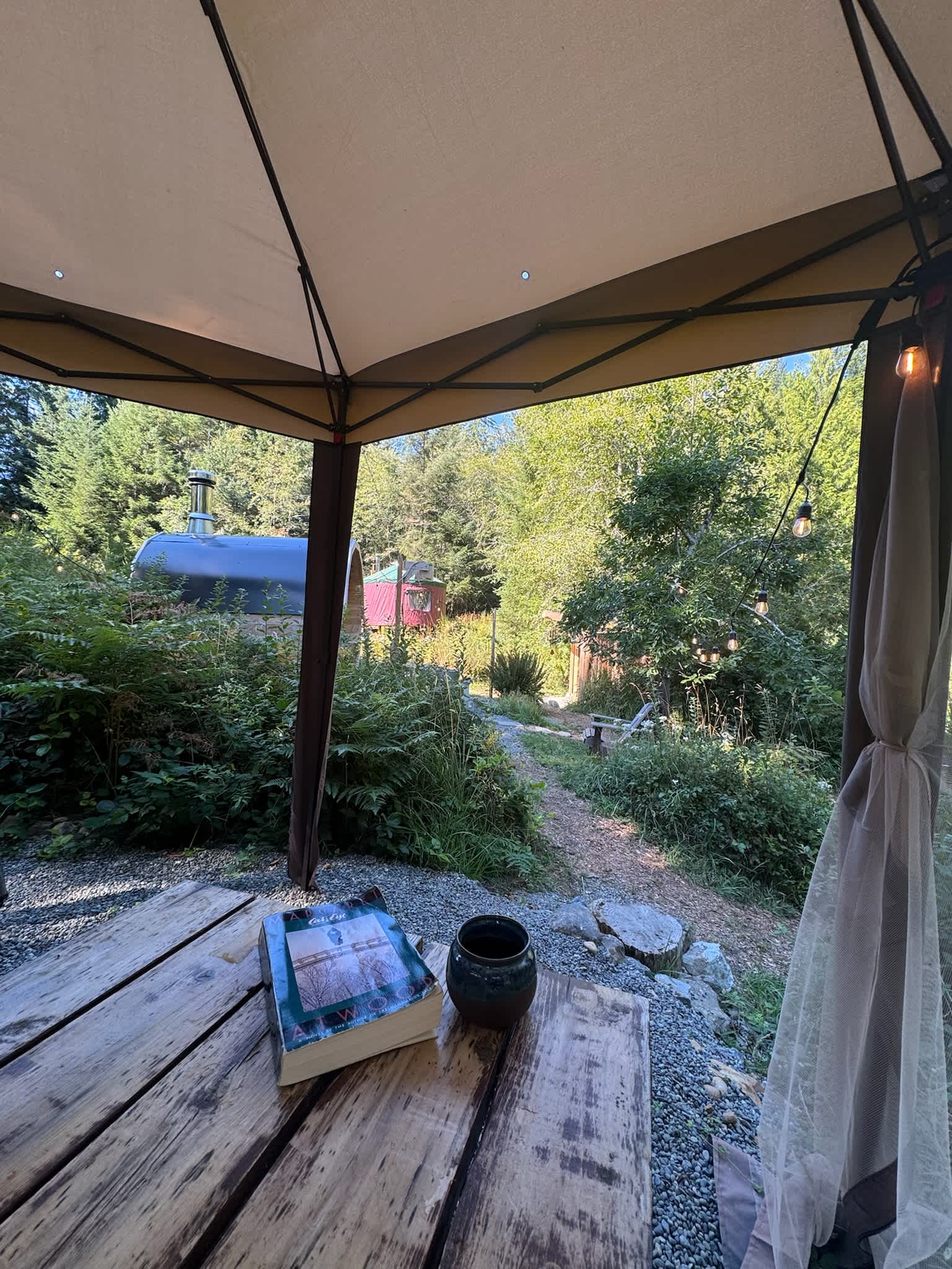 Picture of the site