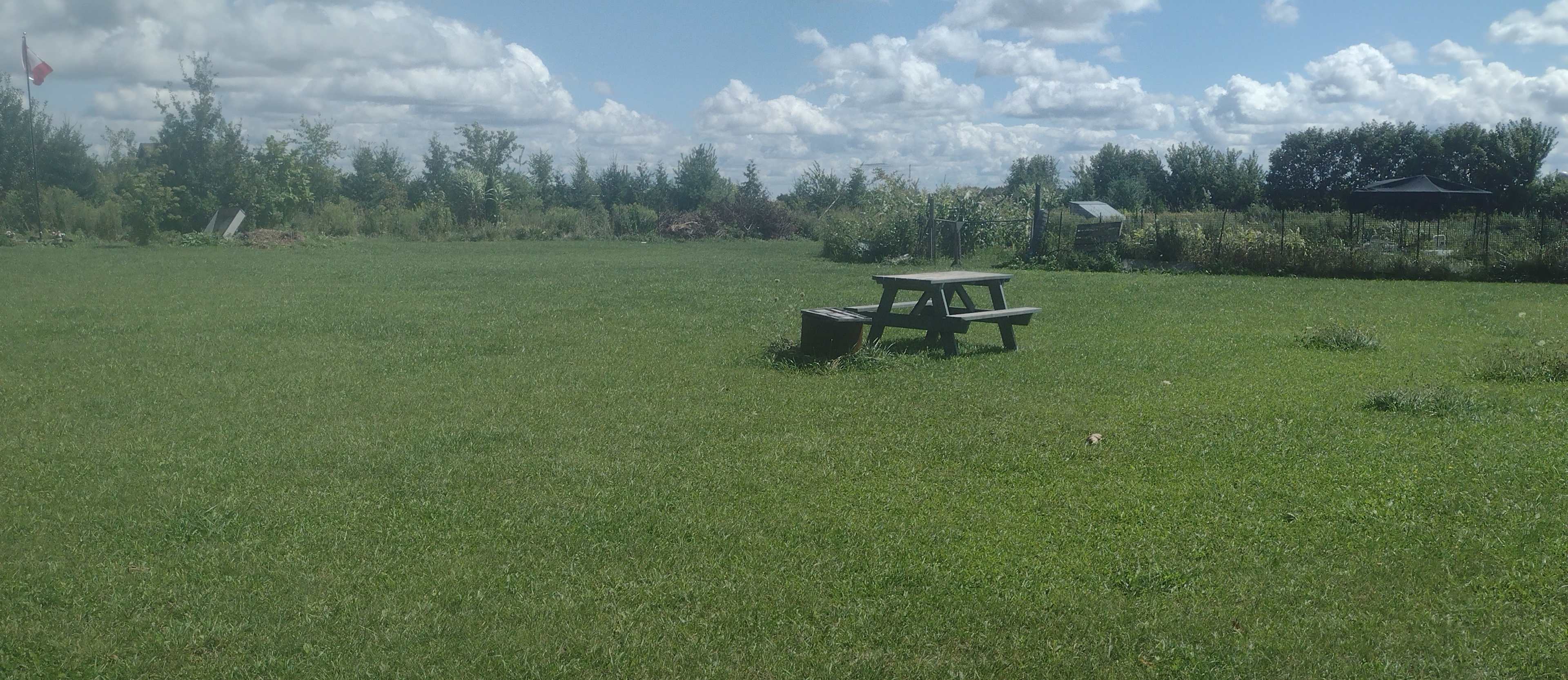 Picture of the site