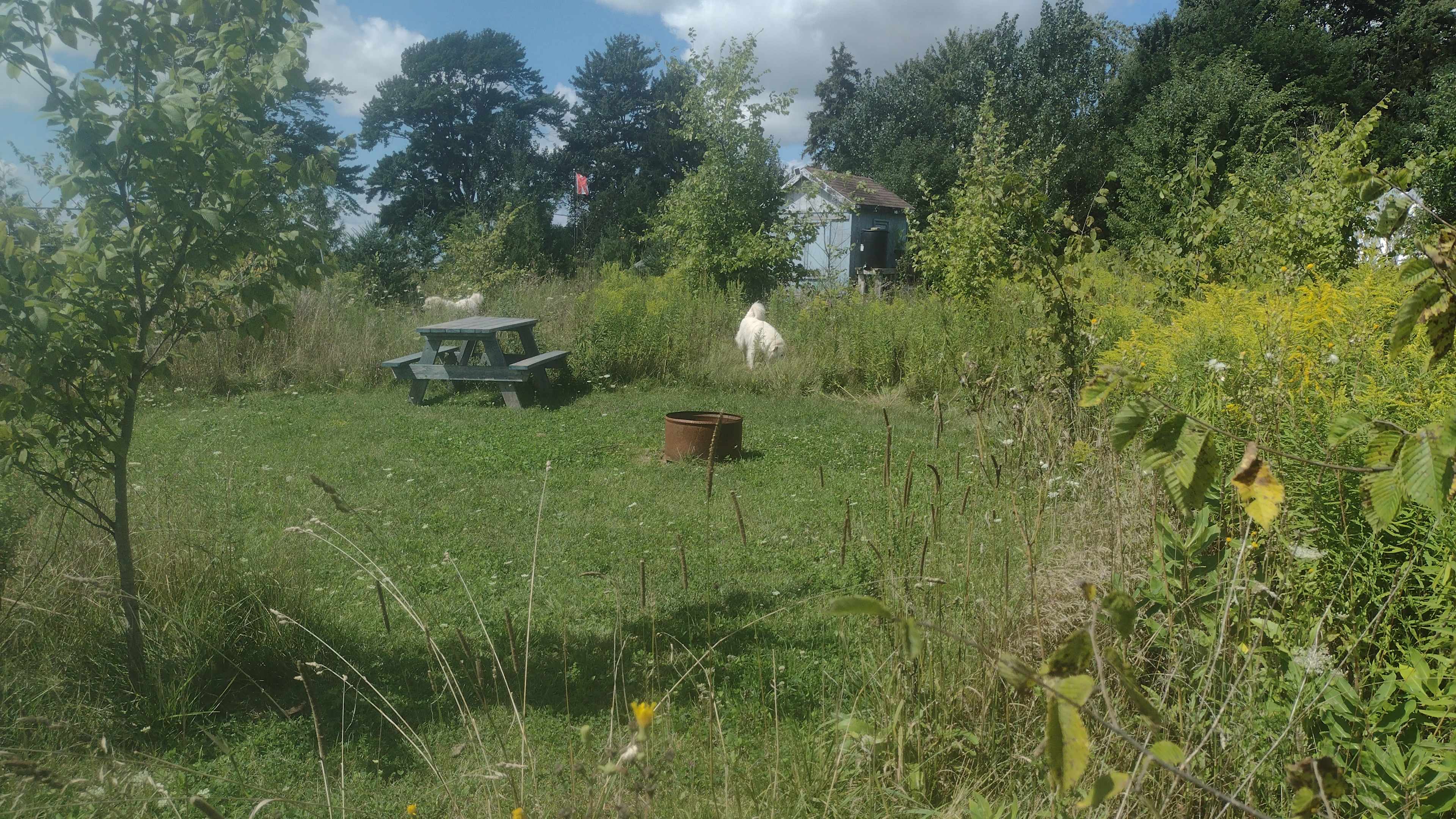 Picture of the site