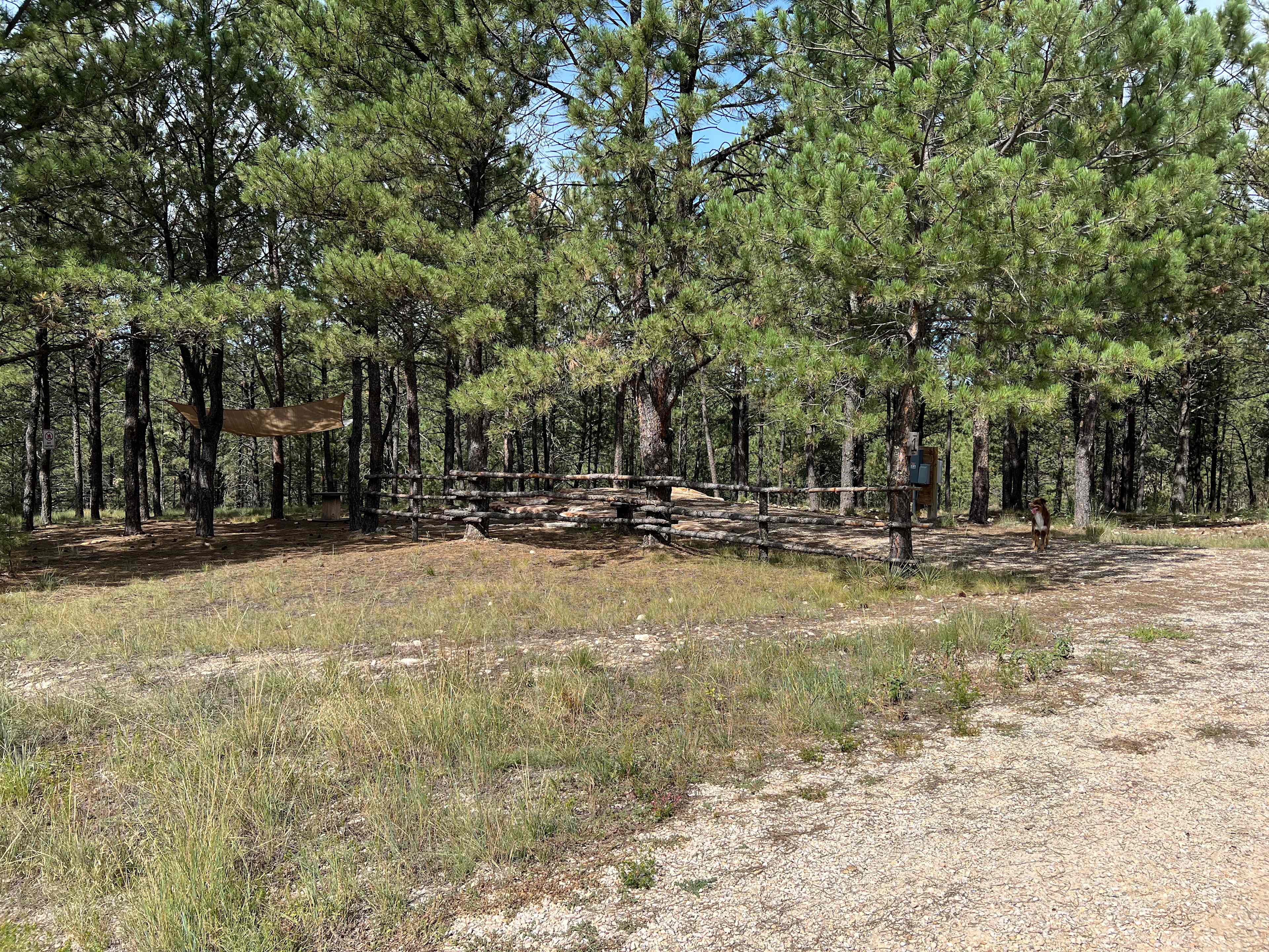 Picture of the site