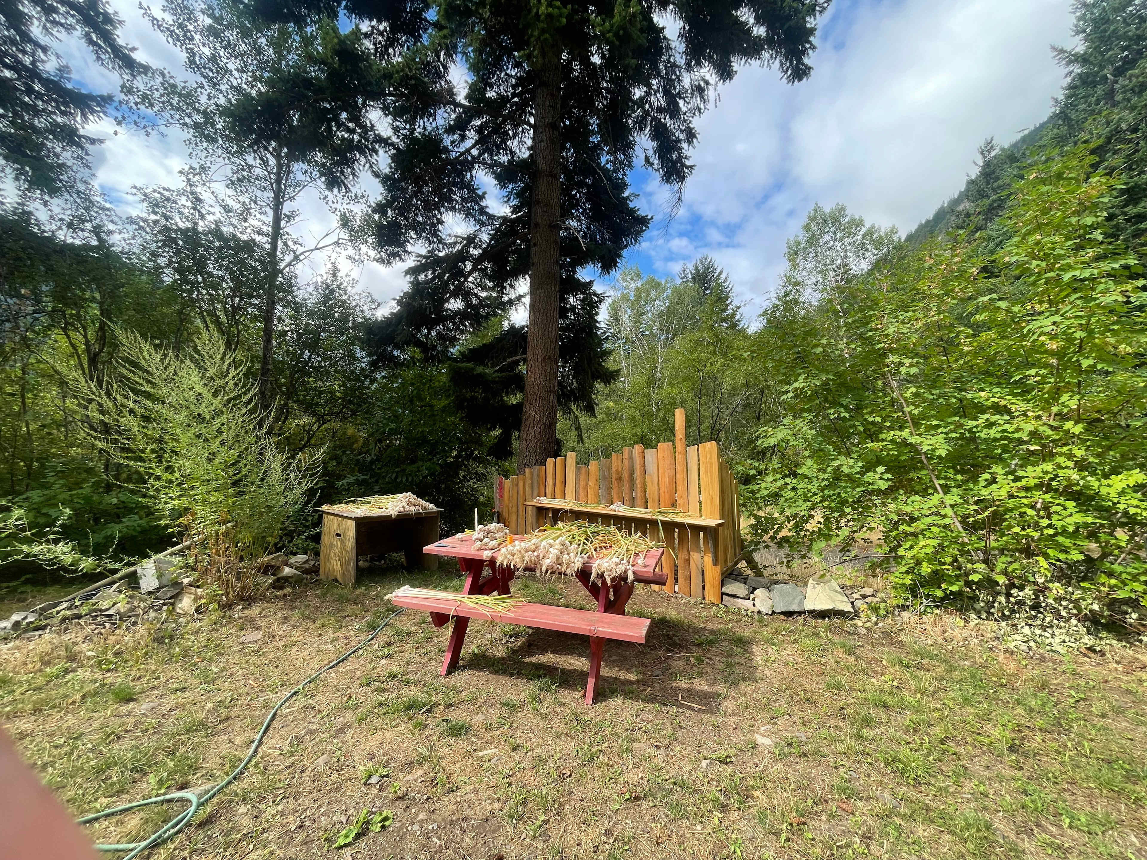 Picture of the site
