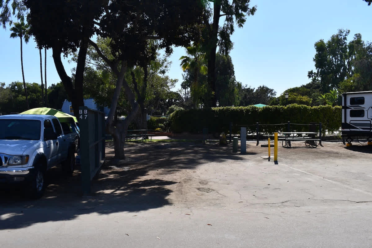 Picture of the site