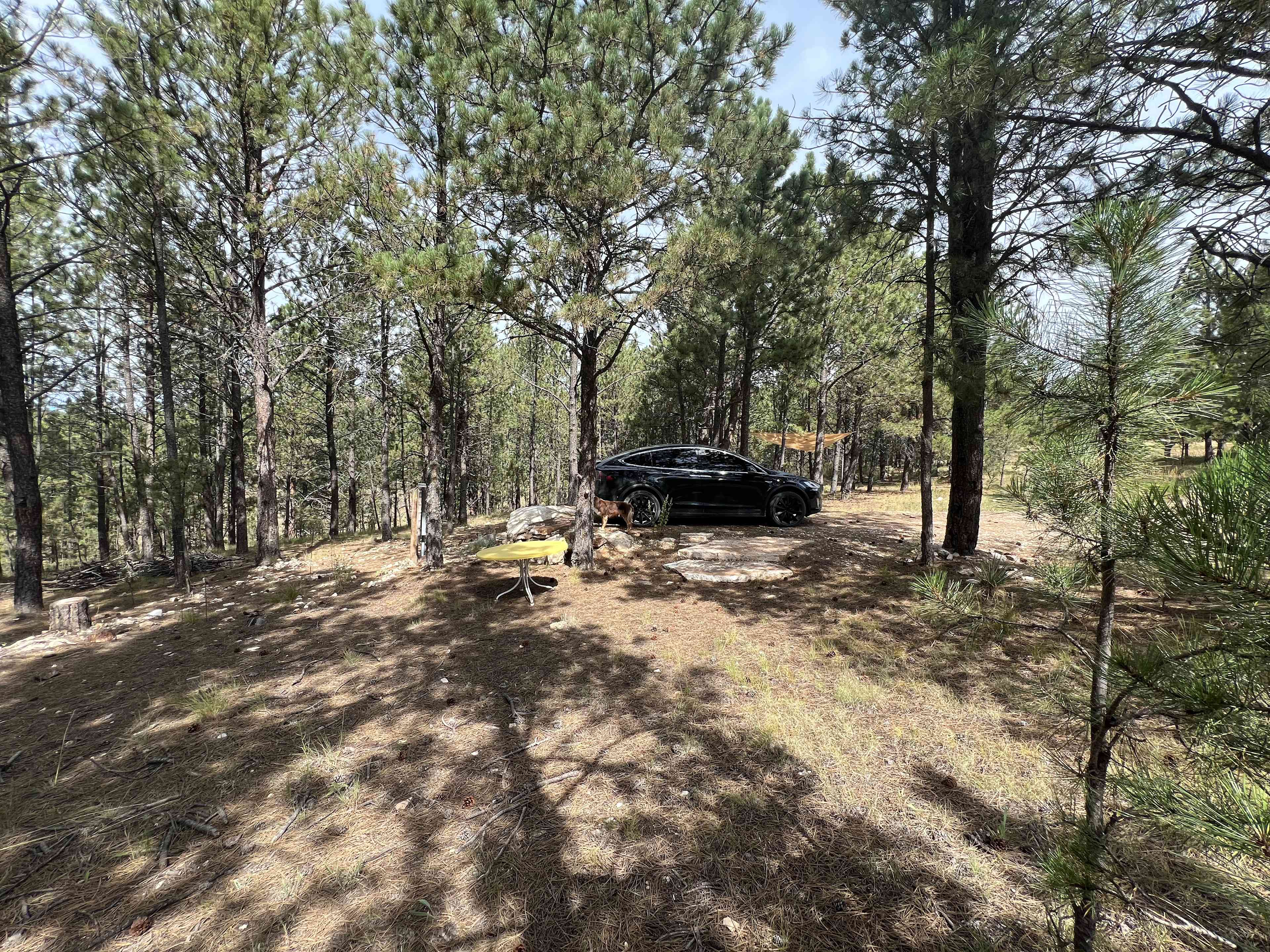 Picture of the site