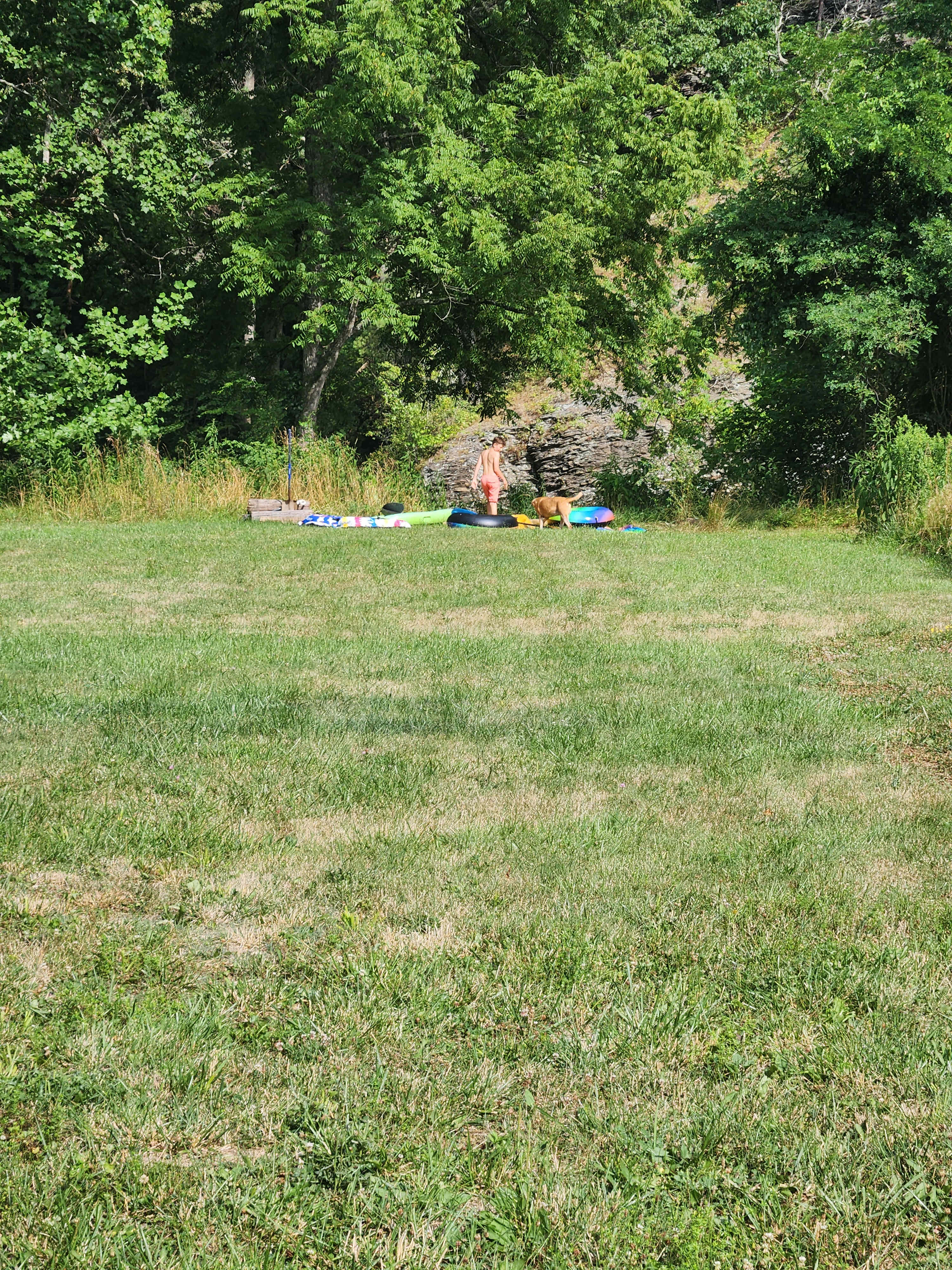Picture of the site