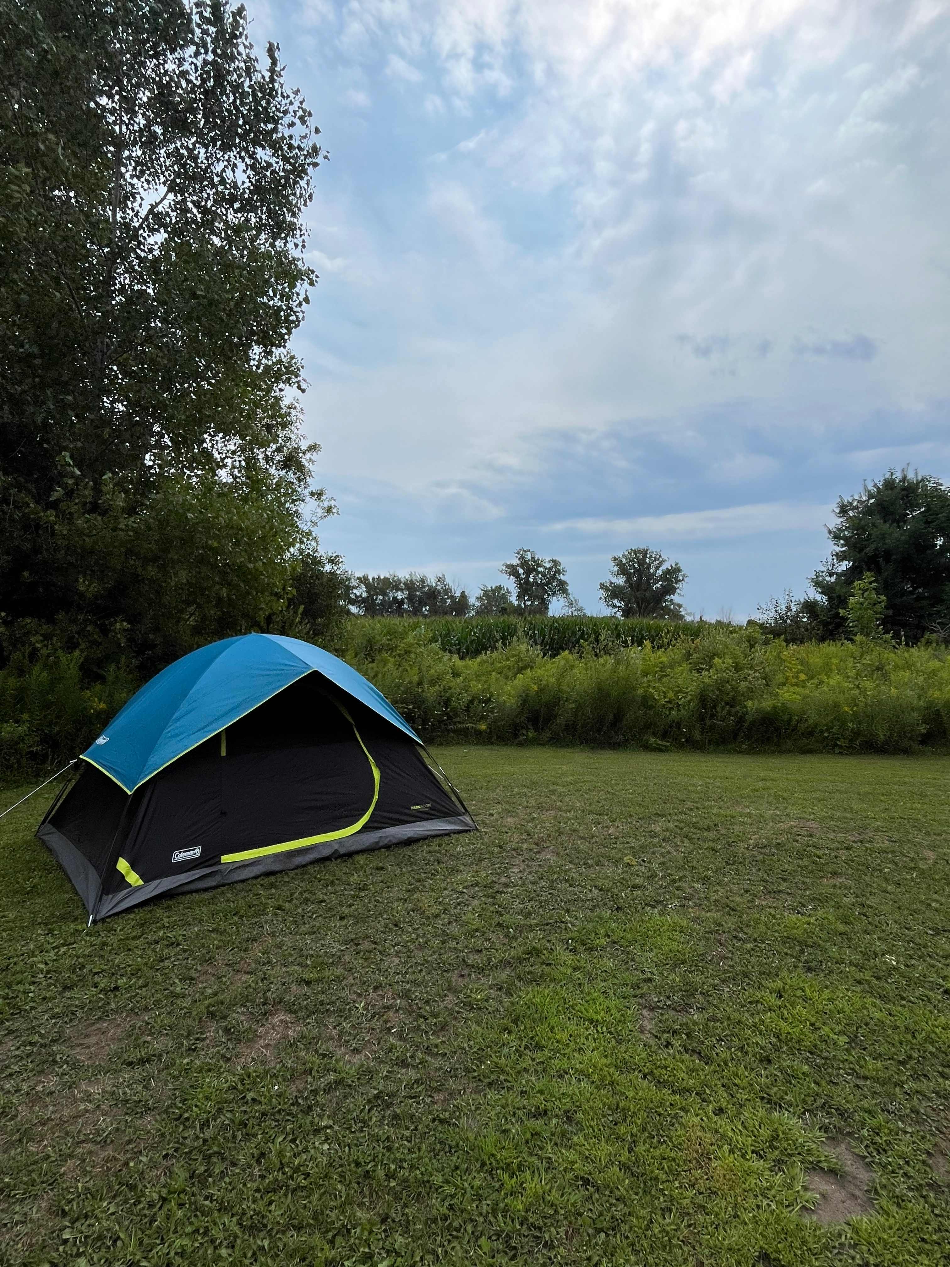 Picture of the site
