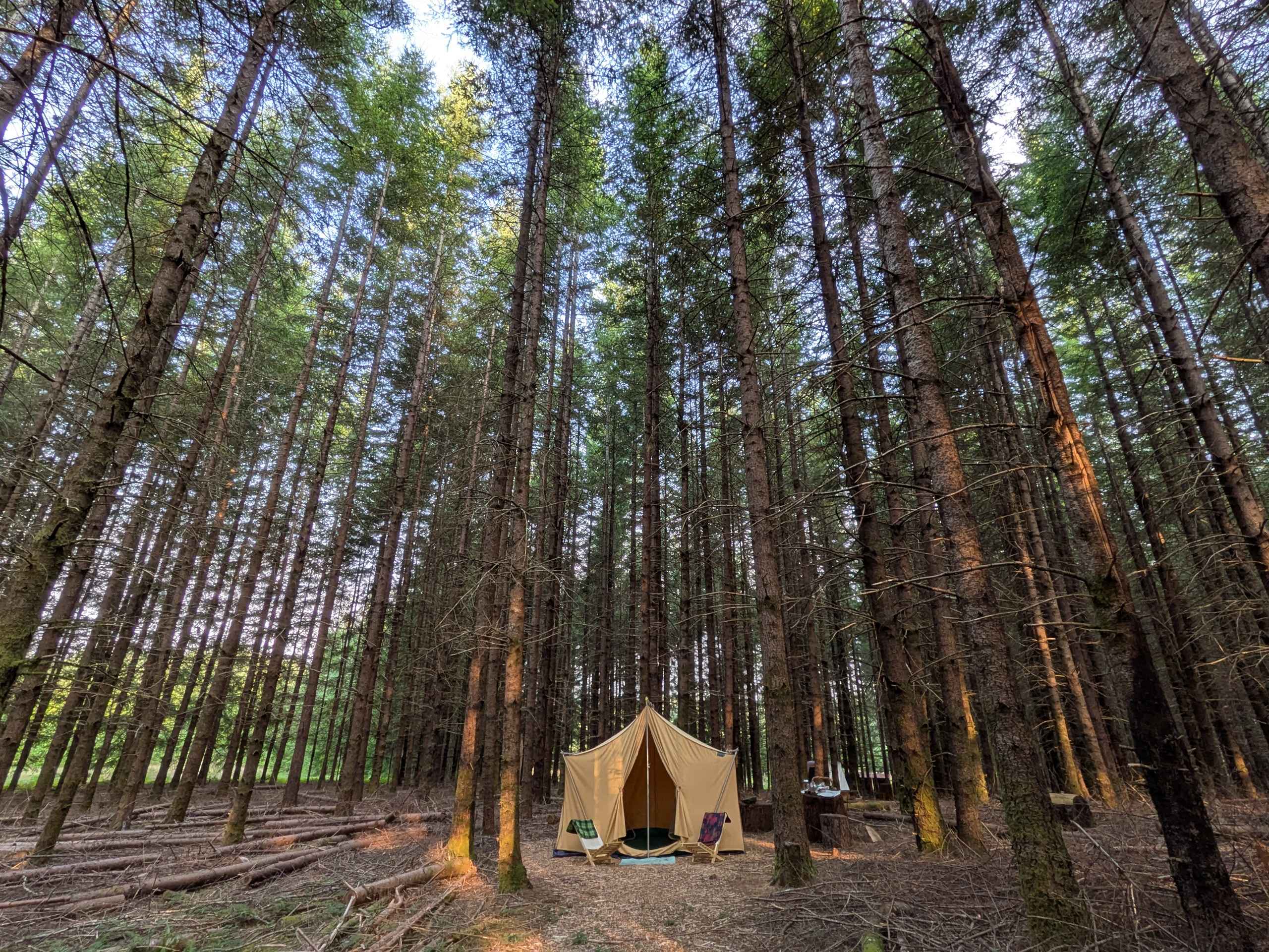 Picture of the site