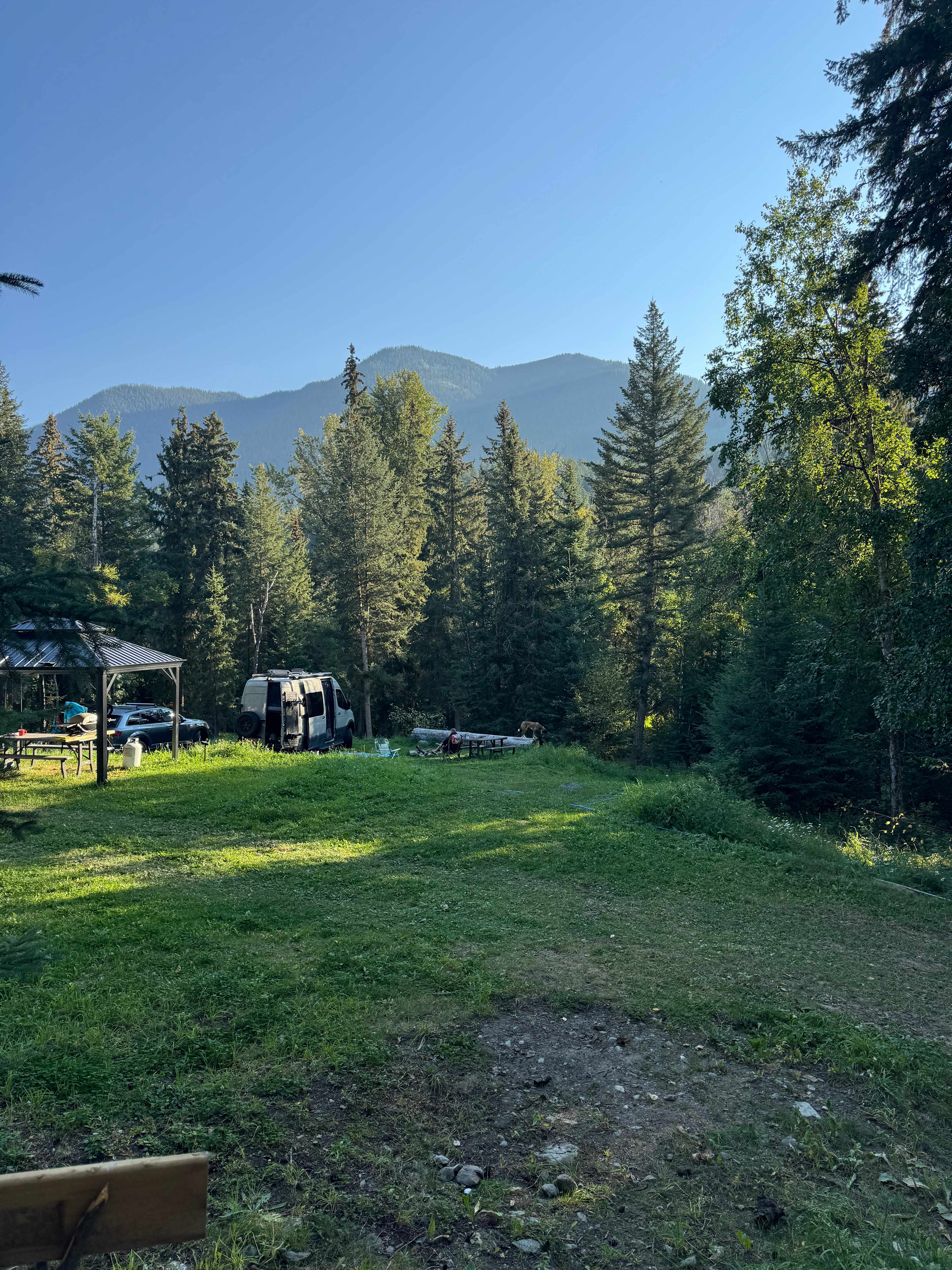 Picture of the site