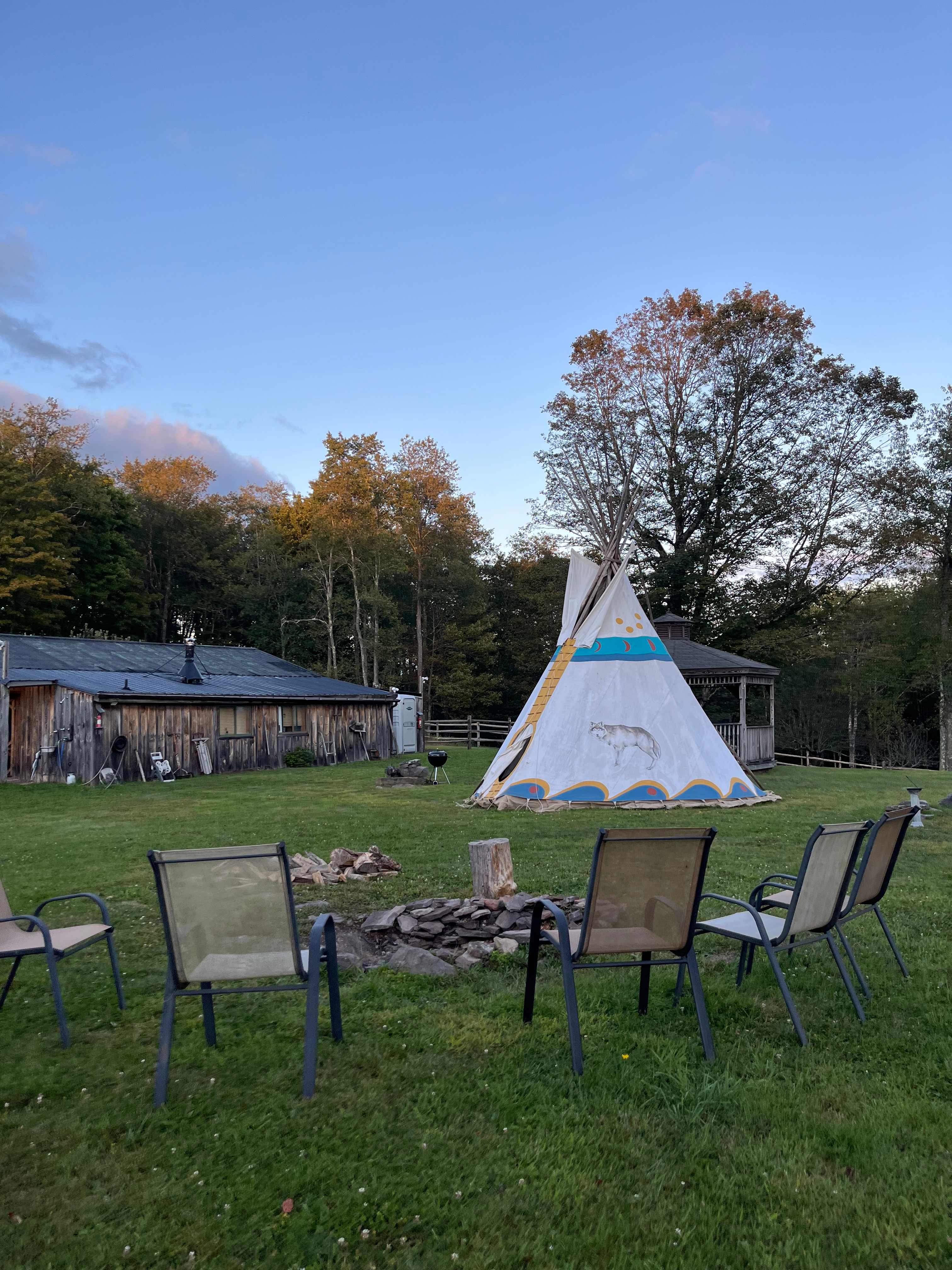 Picture of the site