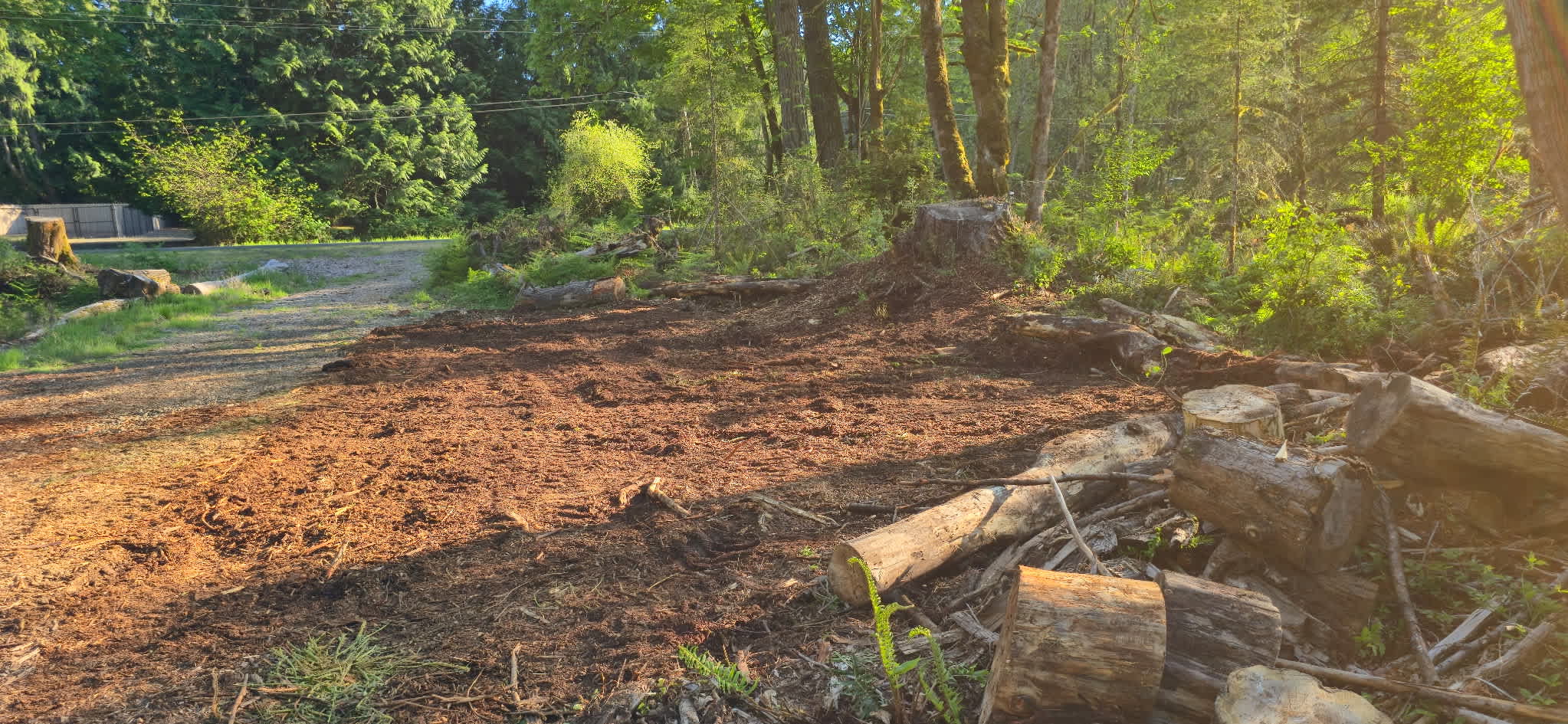 Picture of the site